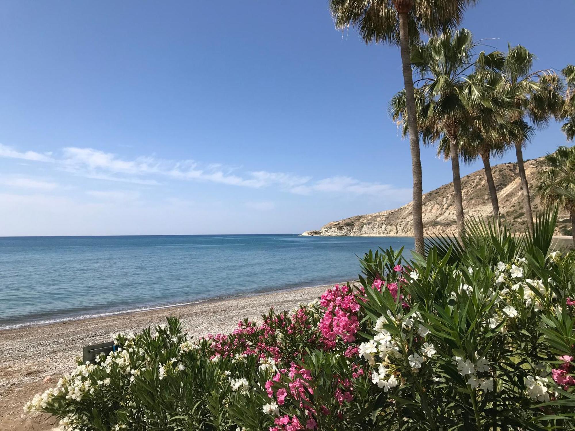 Pissouri Beach Apartments * Pissouri
