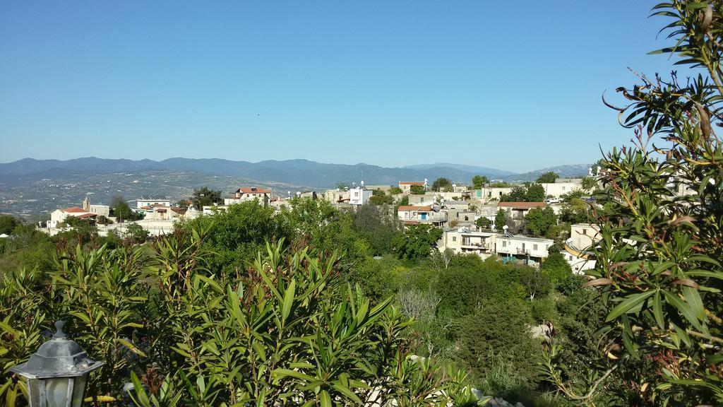 Arodaphne