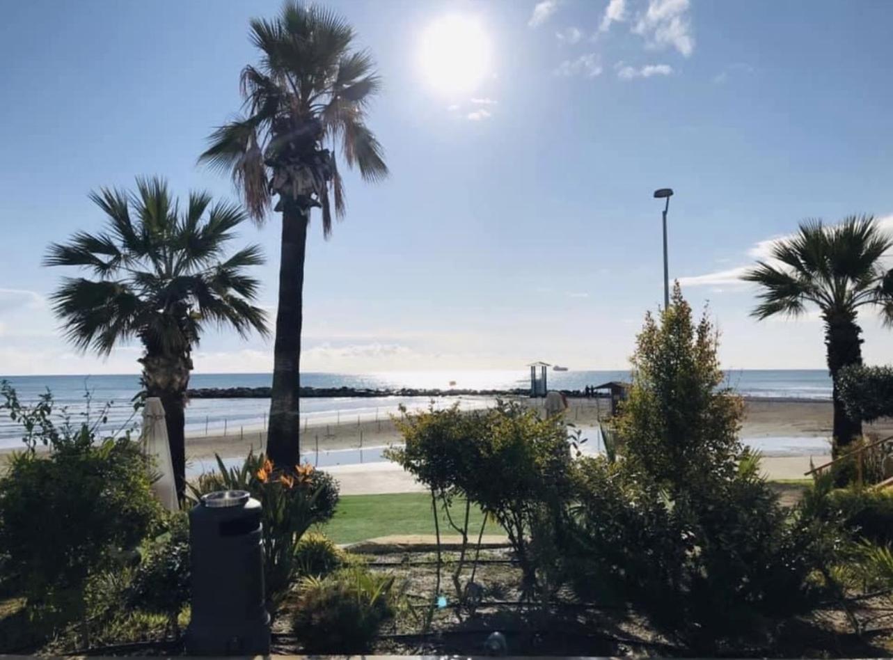 Lebay Larnaca