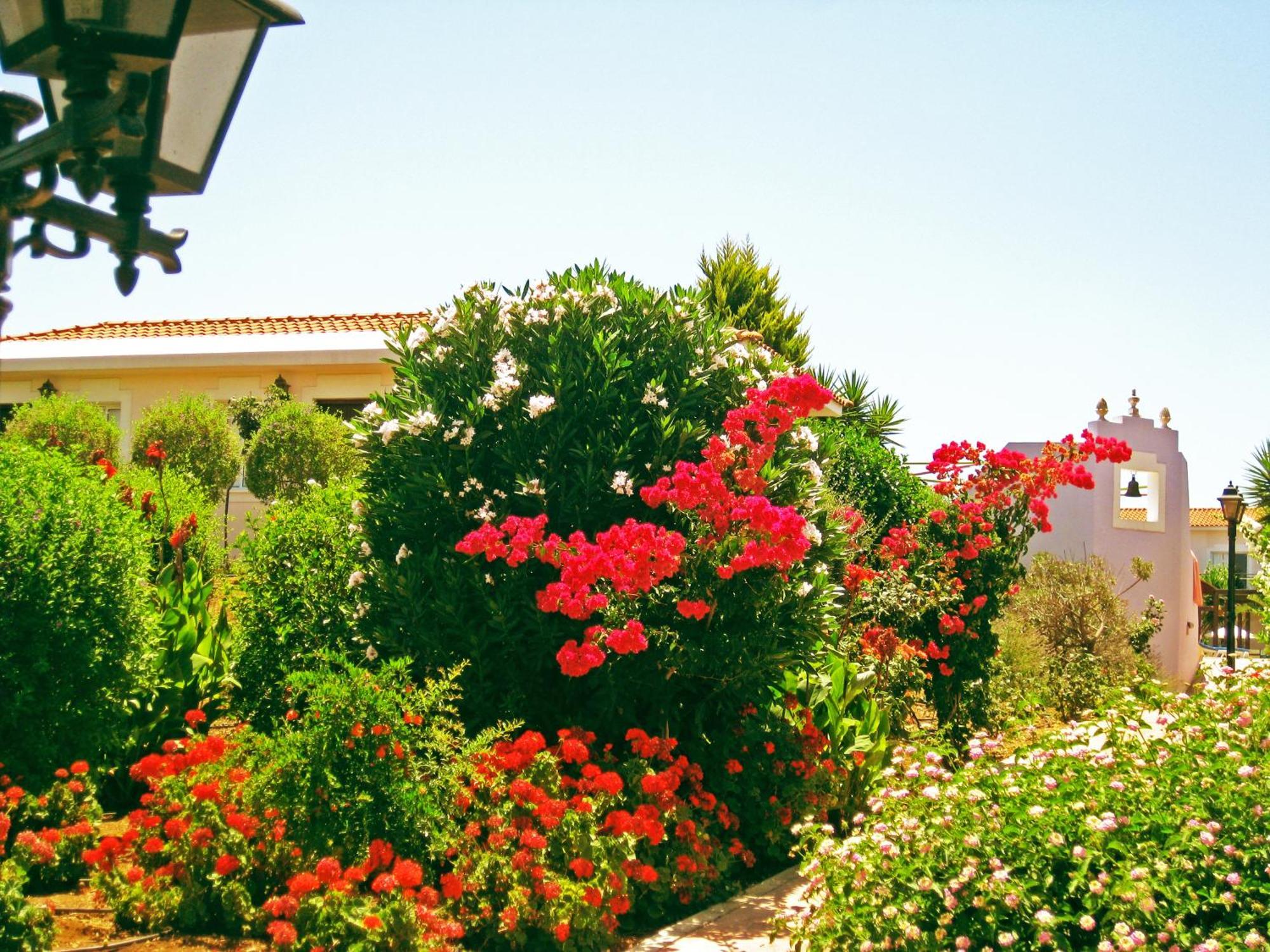 Aparthotel Akamanthea Village 4*