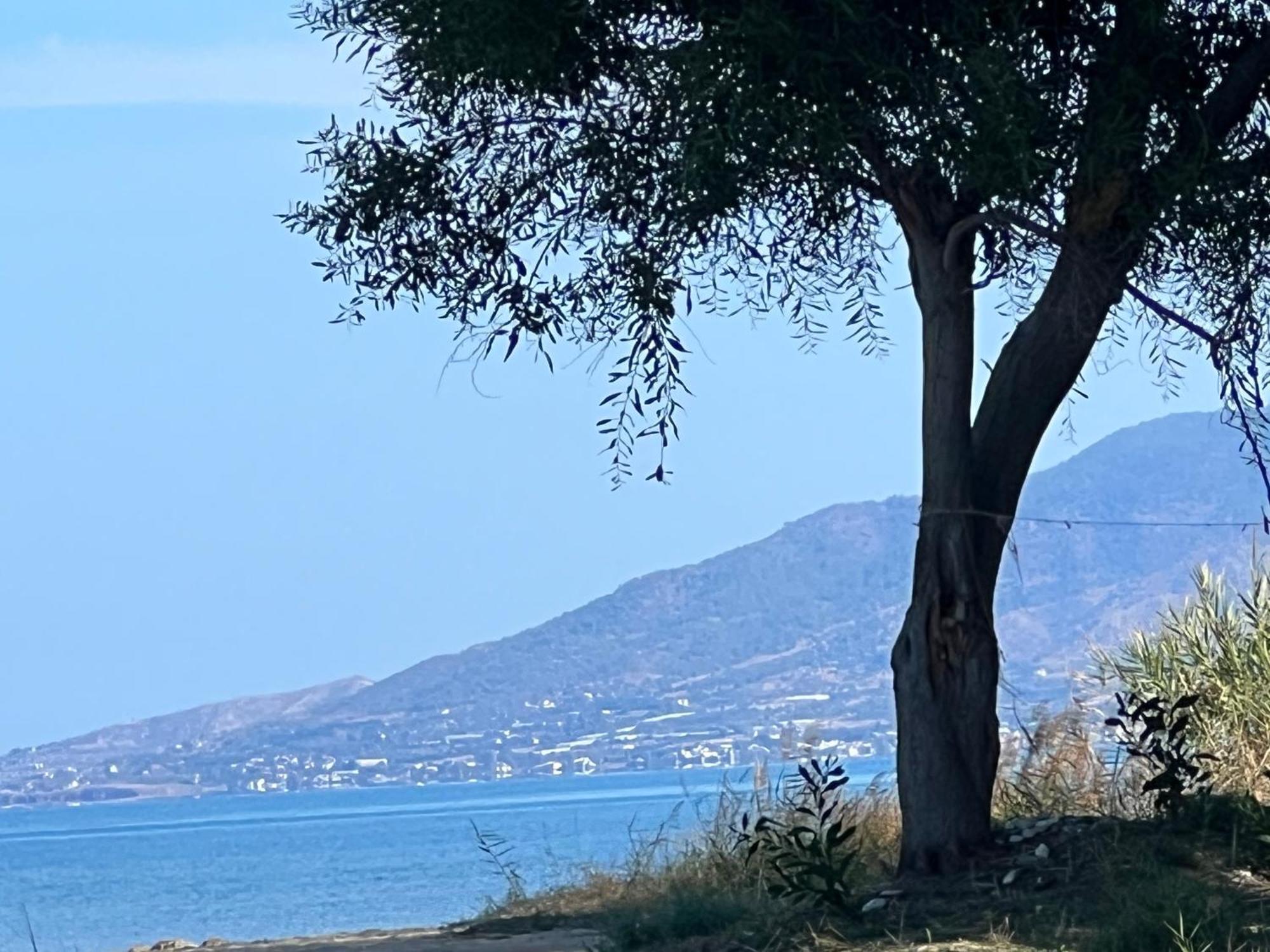 Jomavi Eco-villa Villa *