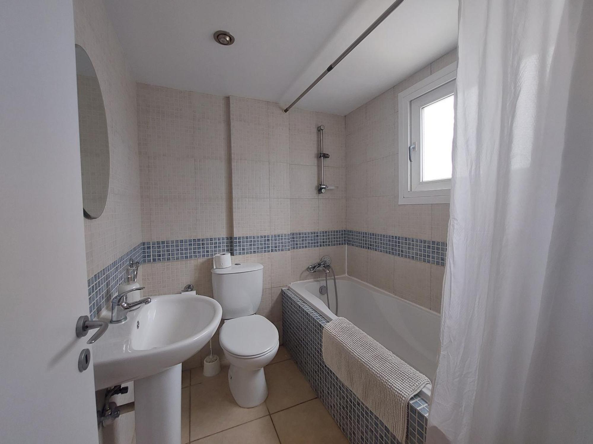Palm 26 * Limassol