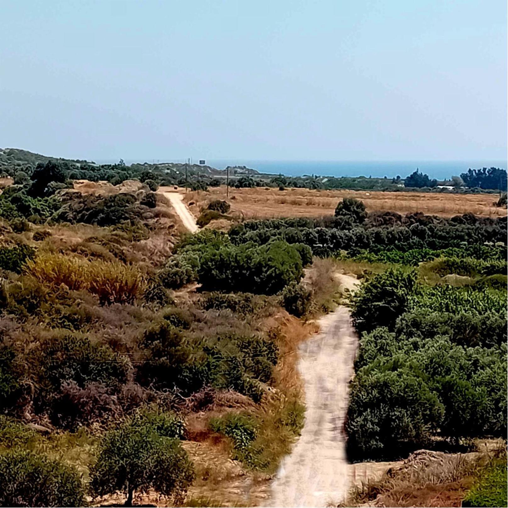 Homestay Sunset Boutique Paphos