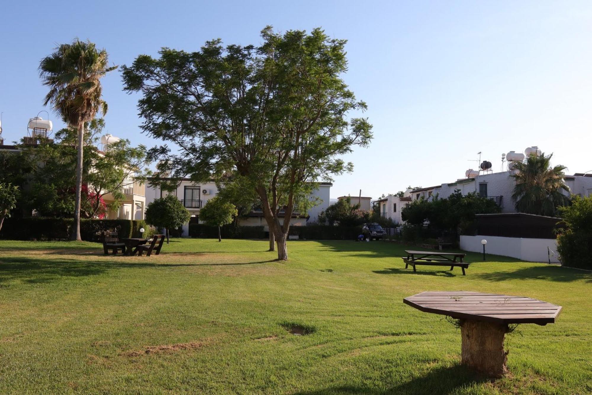 The Summer Haven Polis
