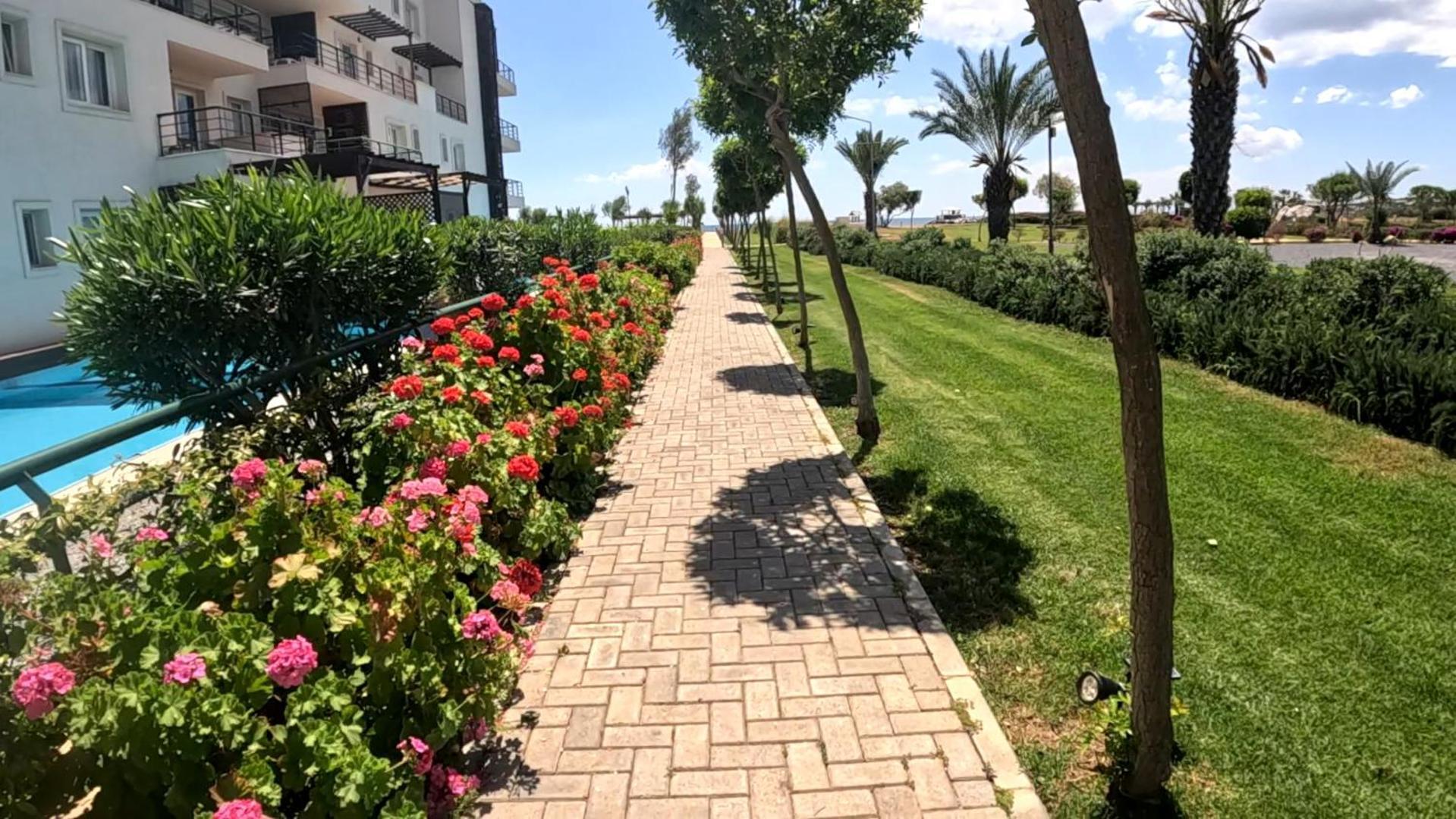 Great Seaview Appartments In Thalassa Apartment *
