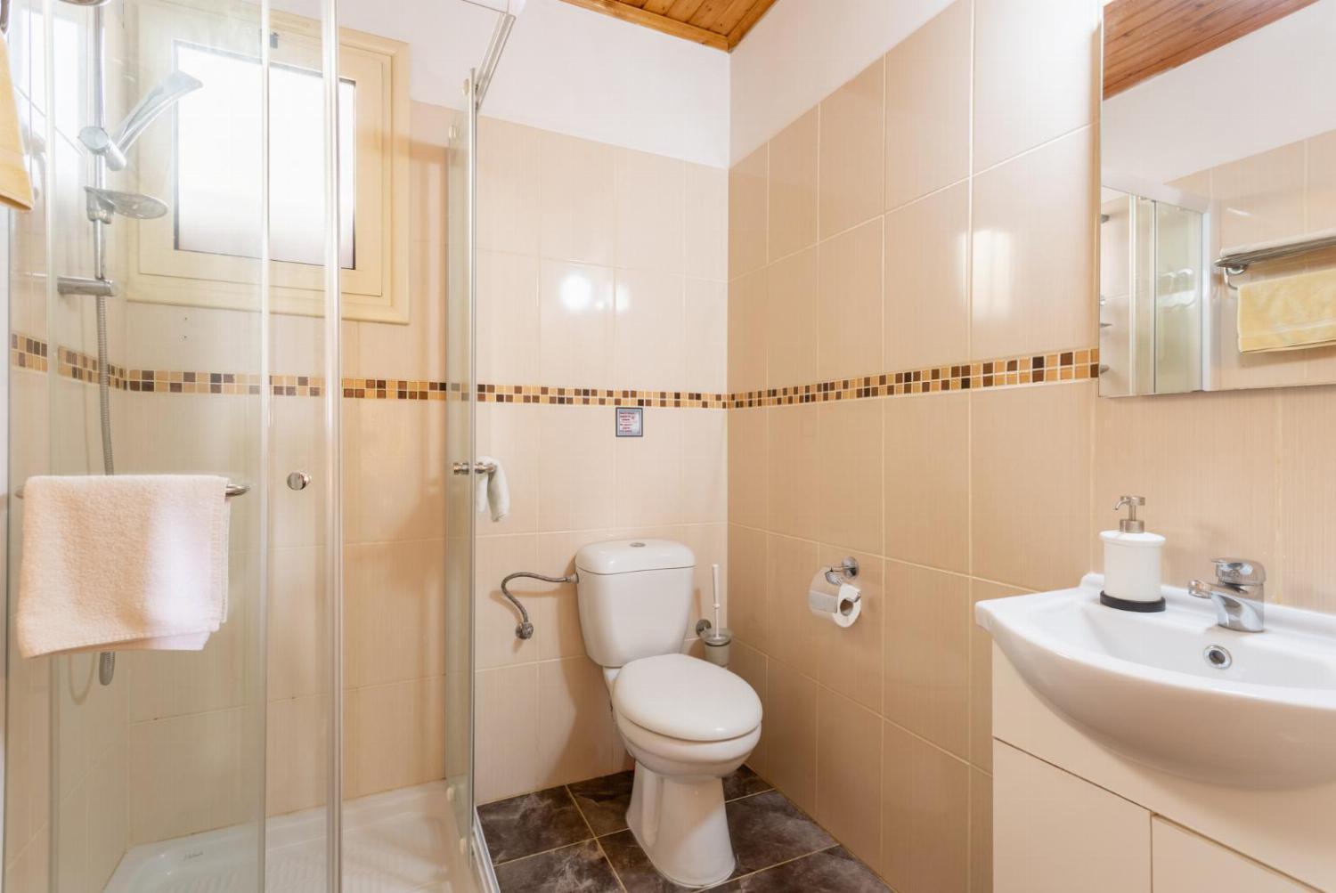 Androula Collection Villa