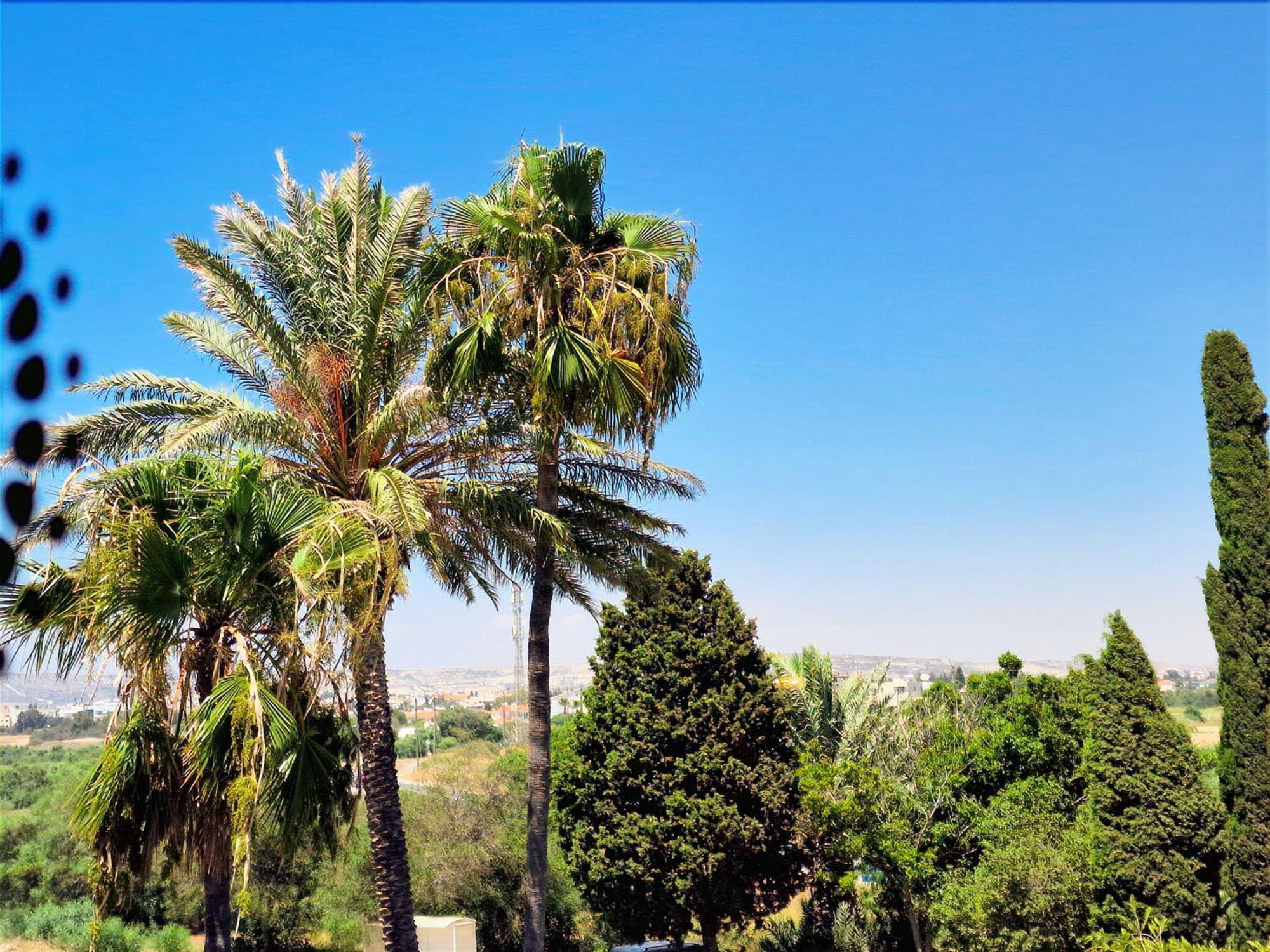 Sveltos Hotel Larnaca
