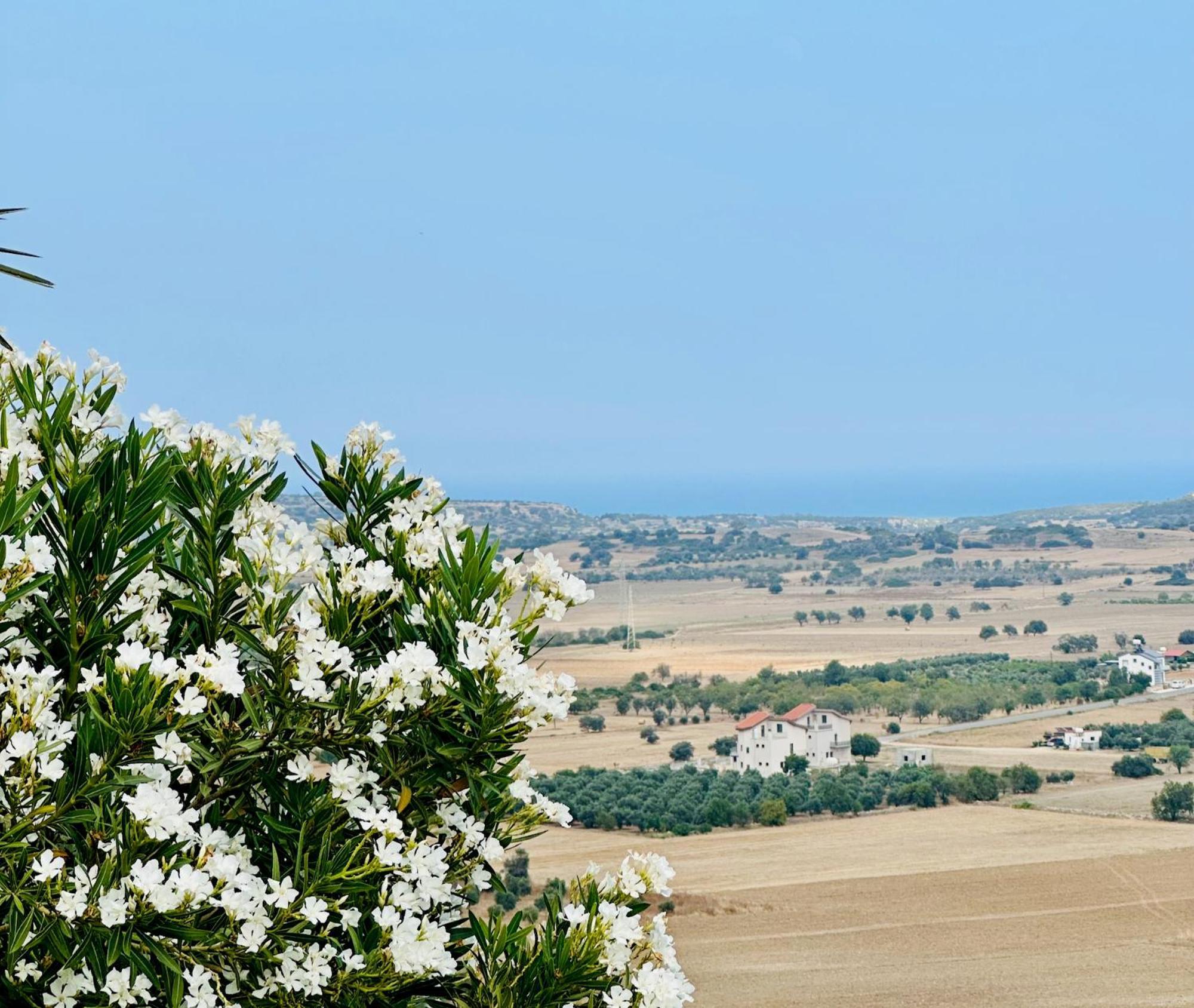 Celebi Garden - Cittaslow Retreat * Famagusta (Northern Cyprus)