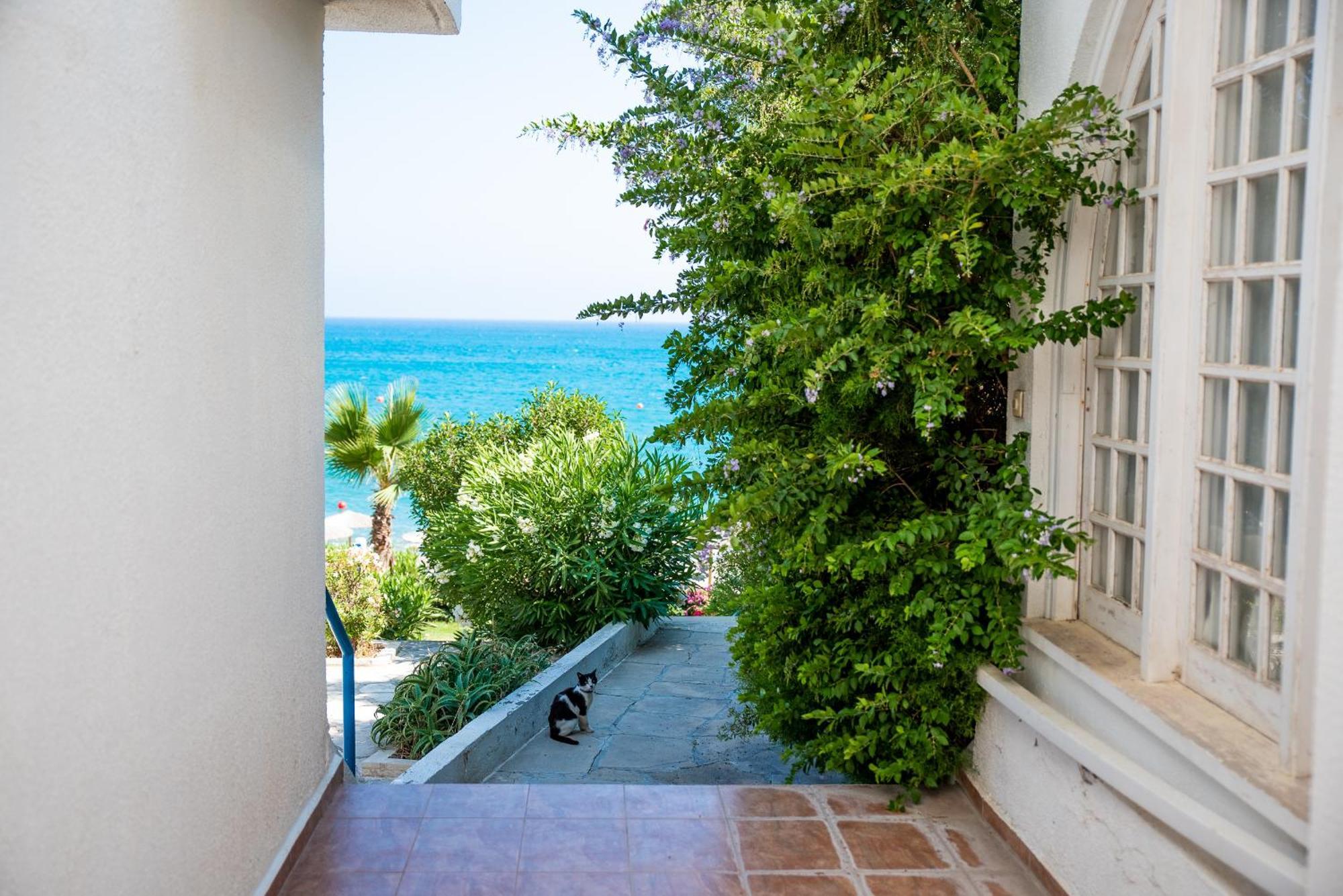 Apartment Bay Pissouri