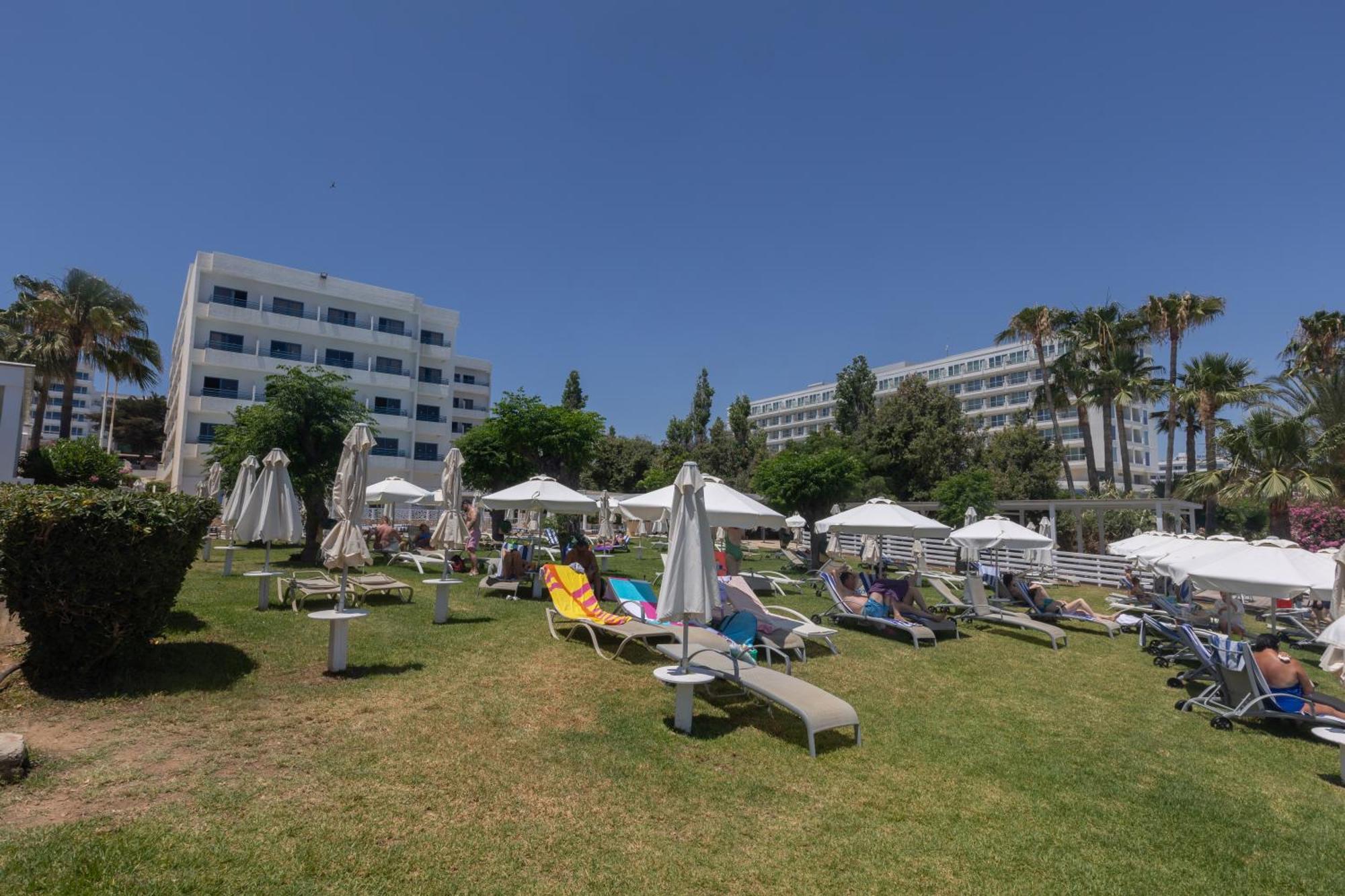 Iliada 4*