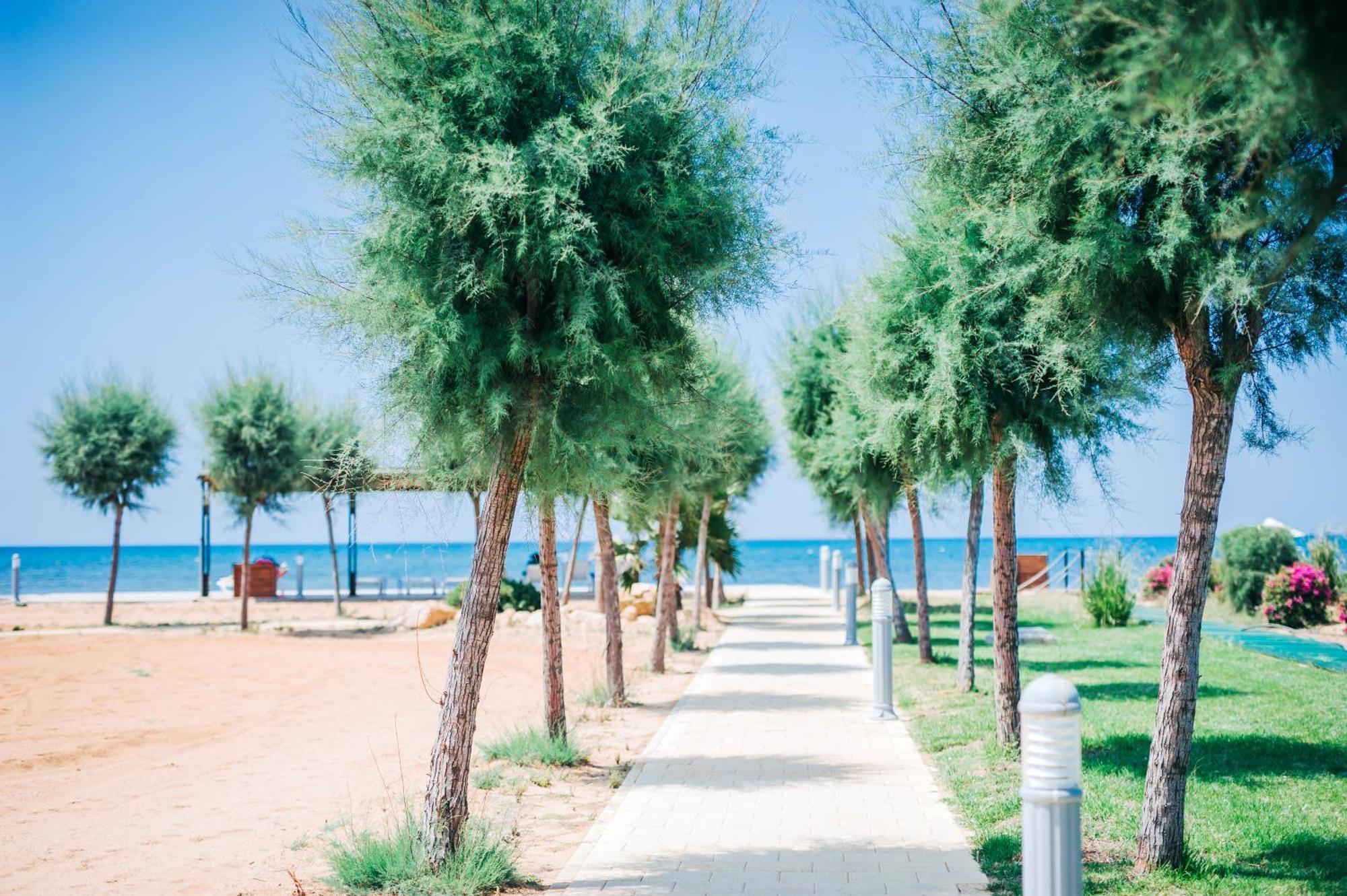 Premium Sun Apartment Vokolidha