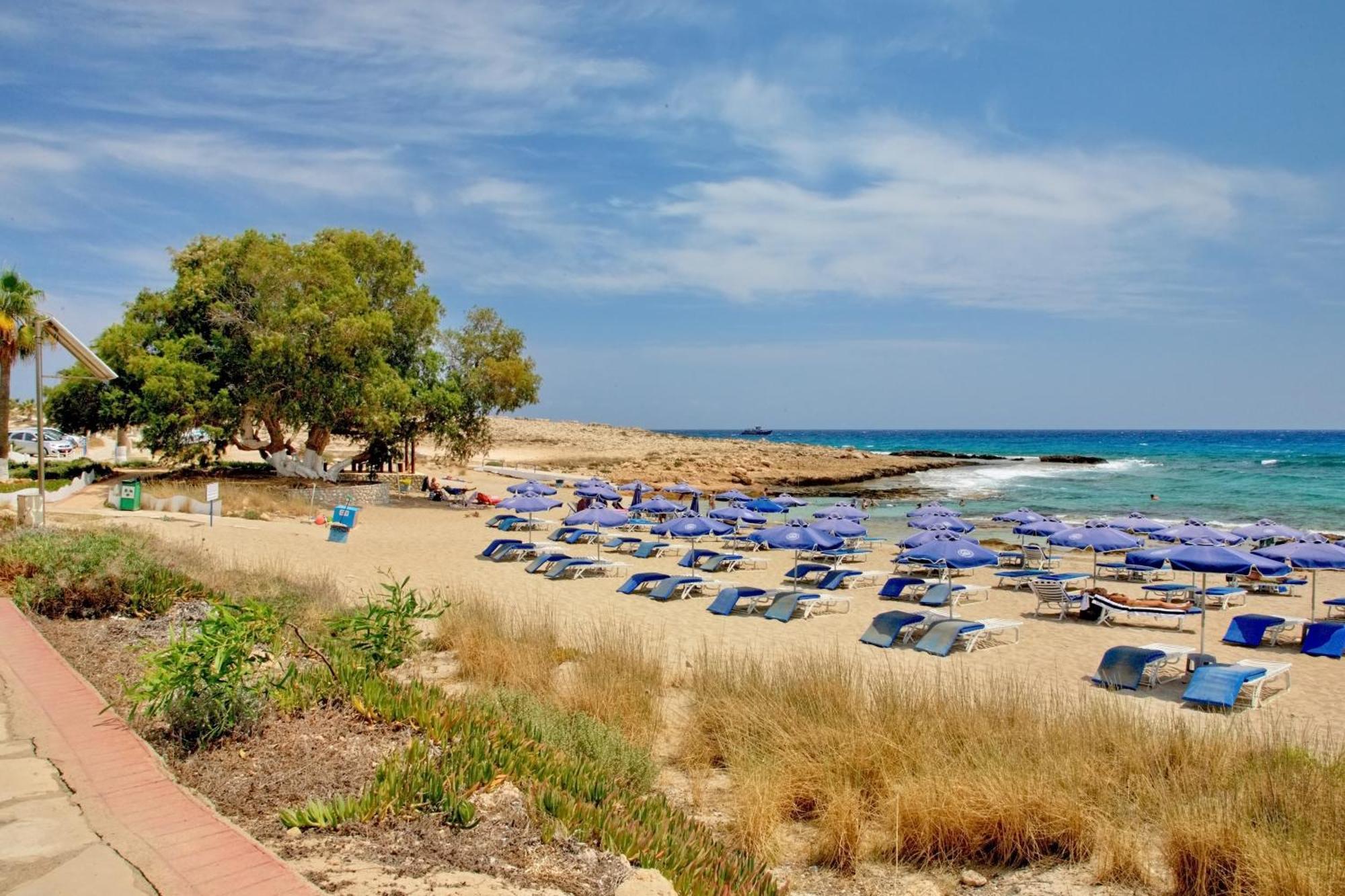Beachfront Luxury Idania Agia Napa