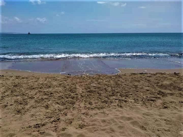 Paradise Karpaz & Restaurant Guest house *