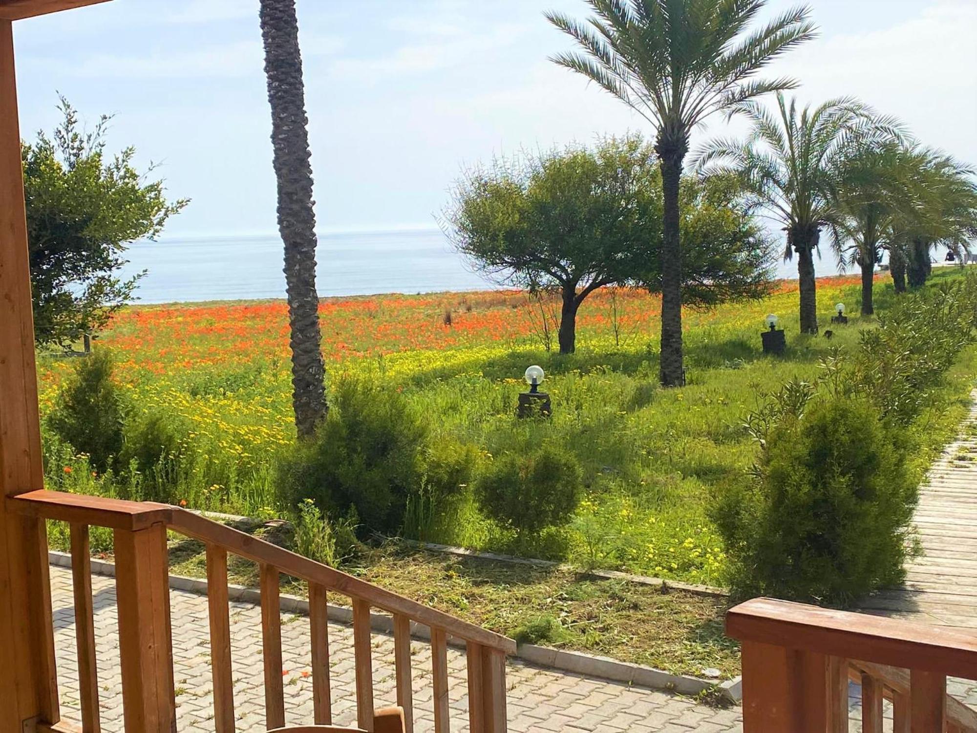 Paradise Karpaz & Restaurant * Rizokarpaso