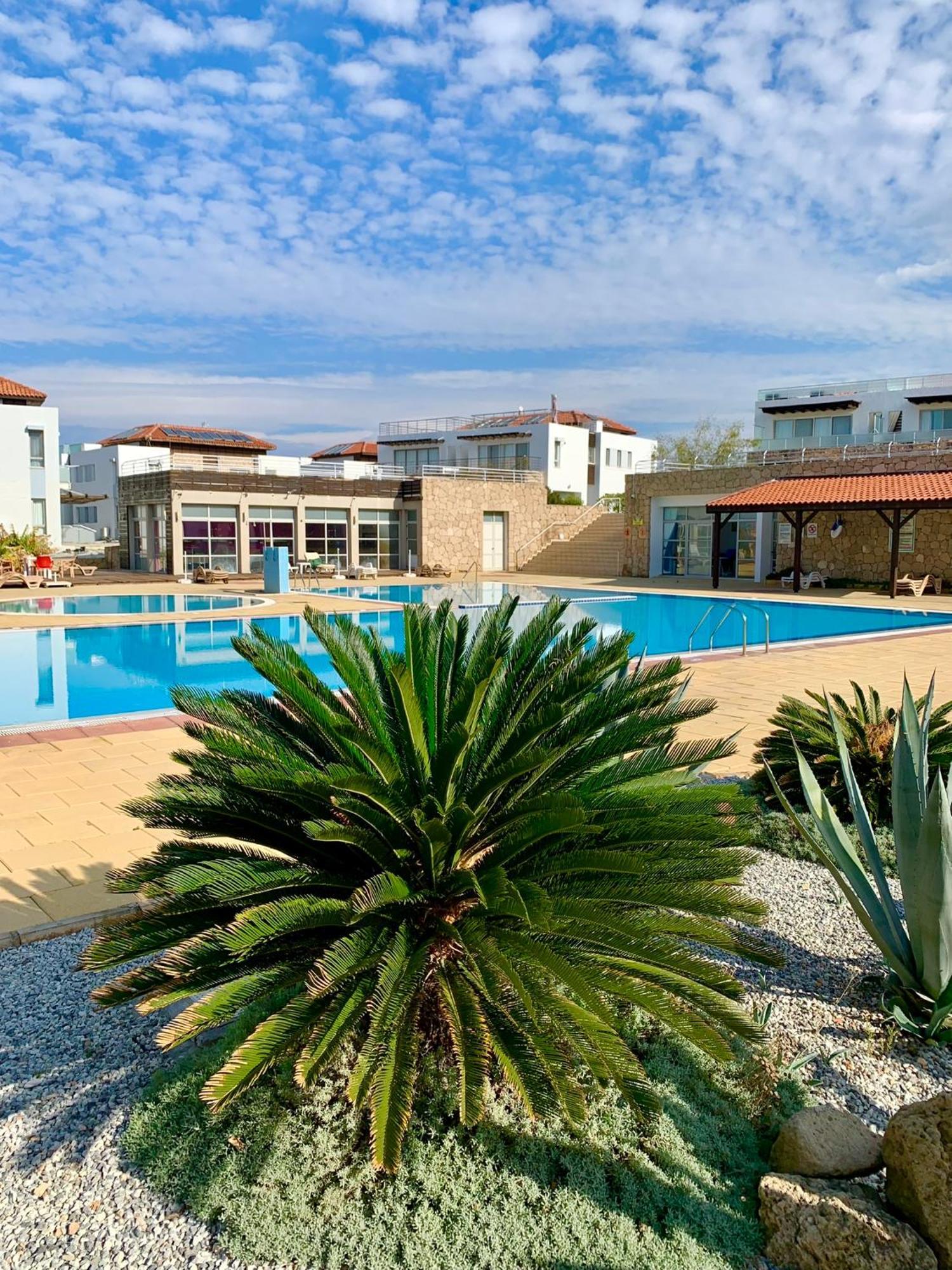 Boho Bay Apartment Akanthou