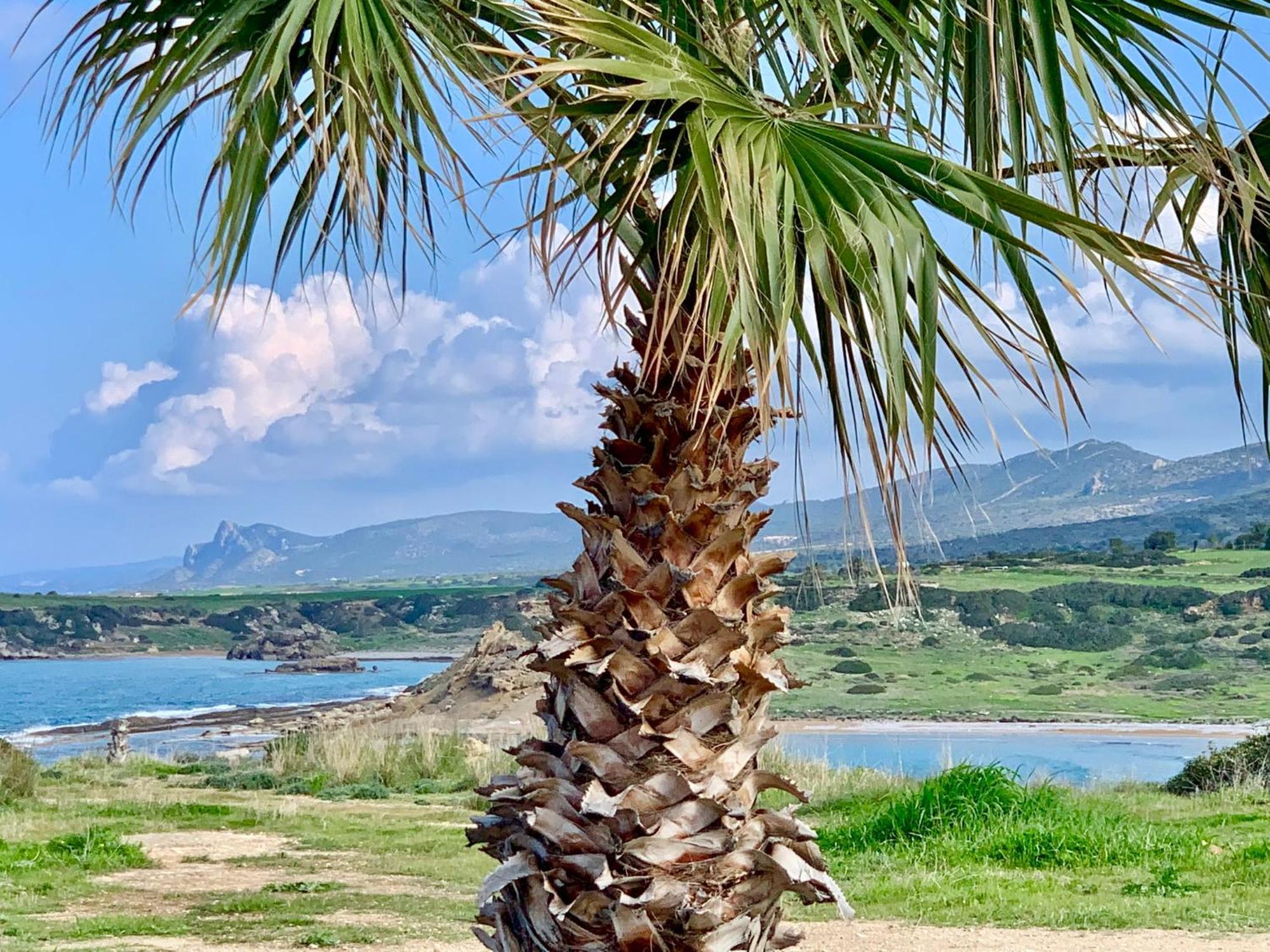 Boho Bay Akanthou