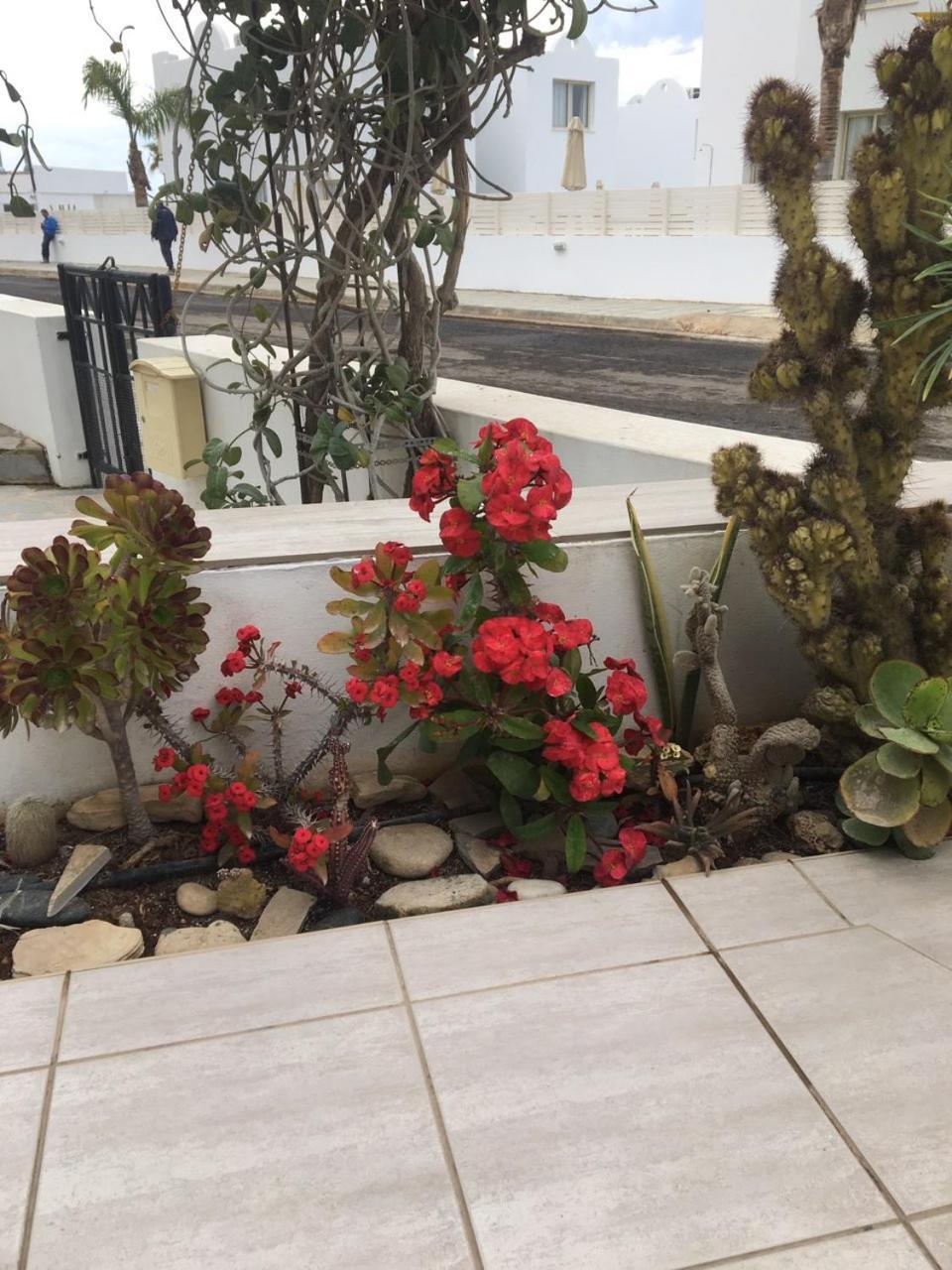 Sunny Coast Paralimni