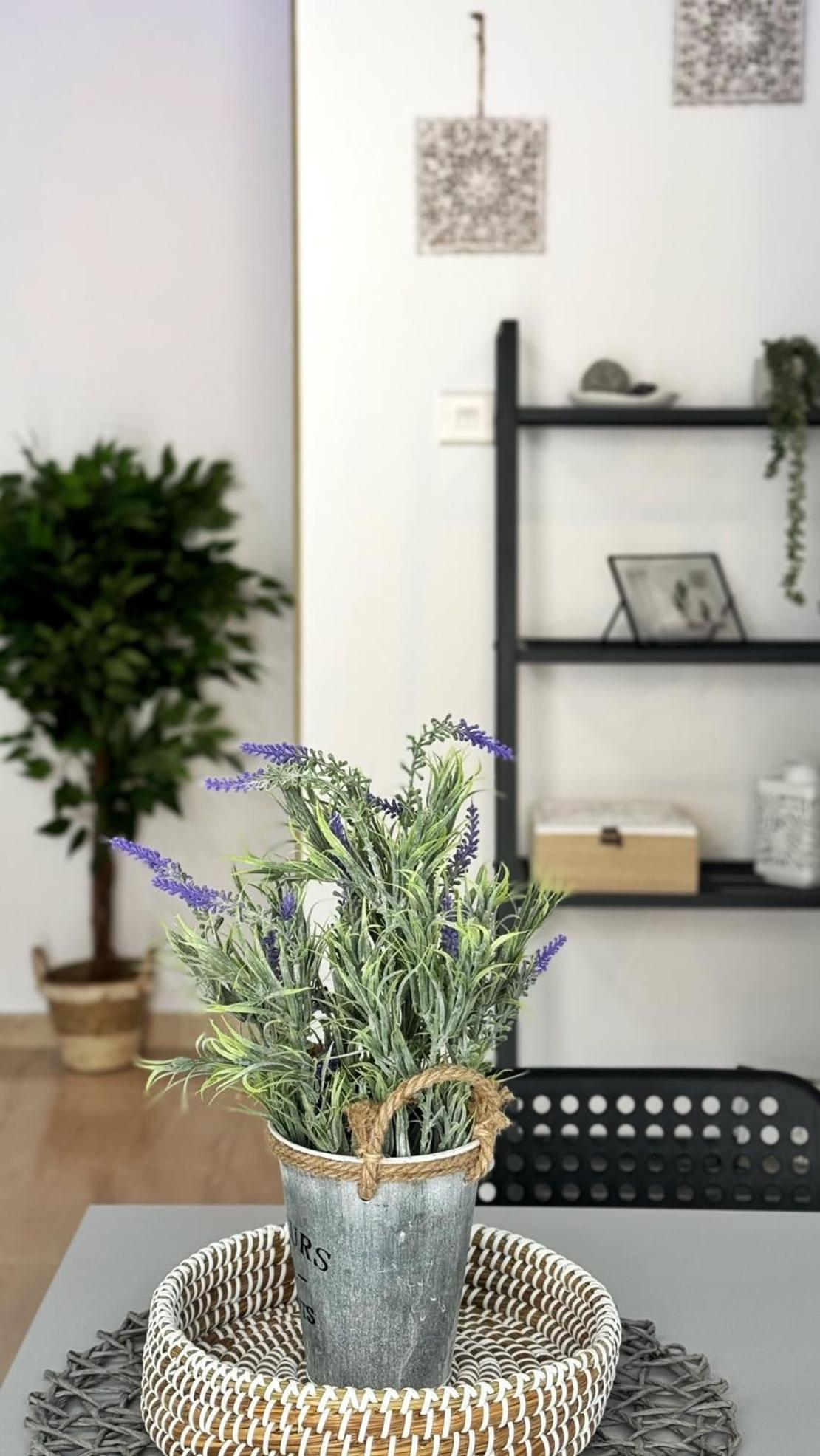 Pmp Adamia Appartement Peyia
