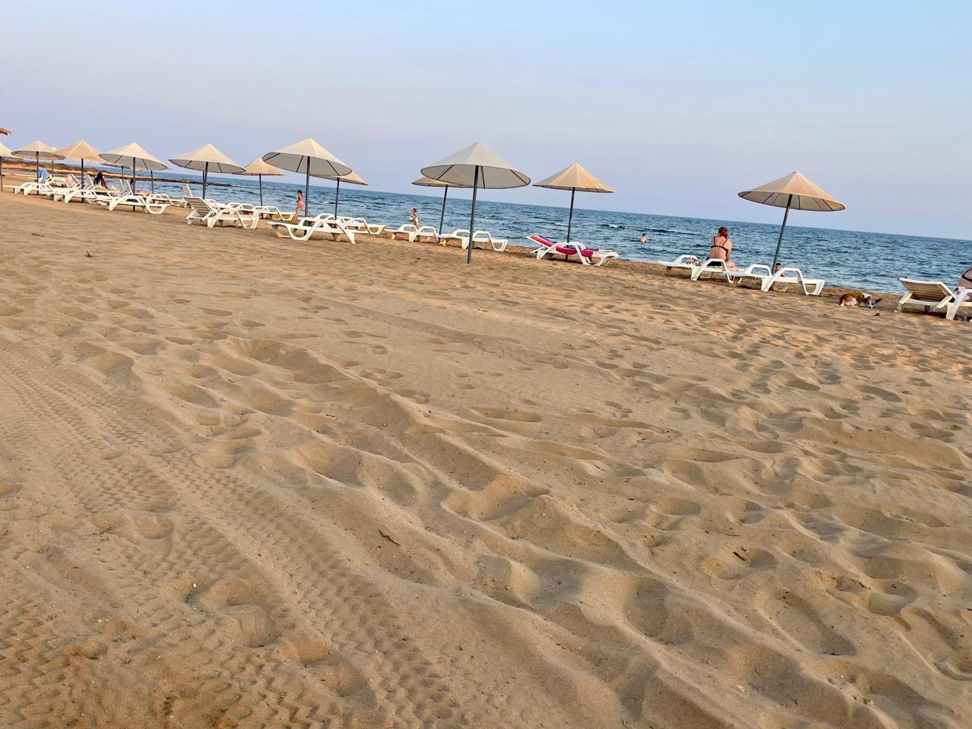 Apartment Sweetness By The Sea Vokolidha