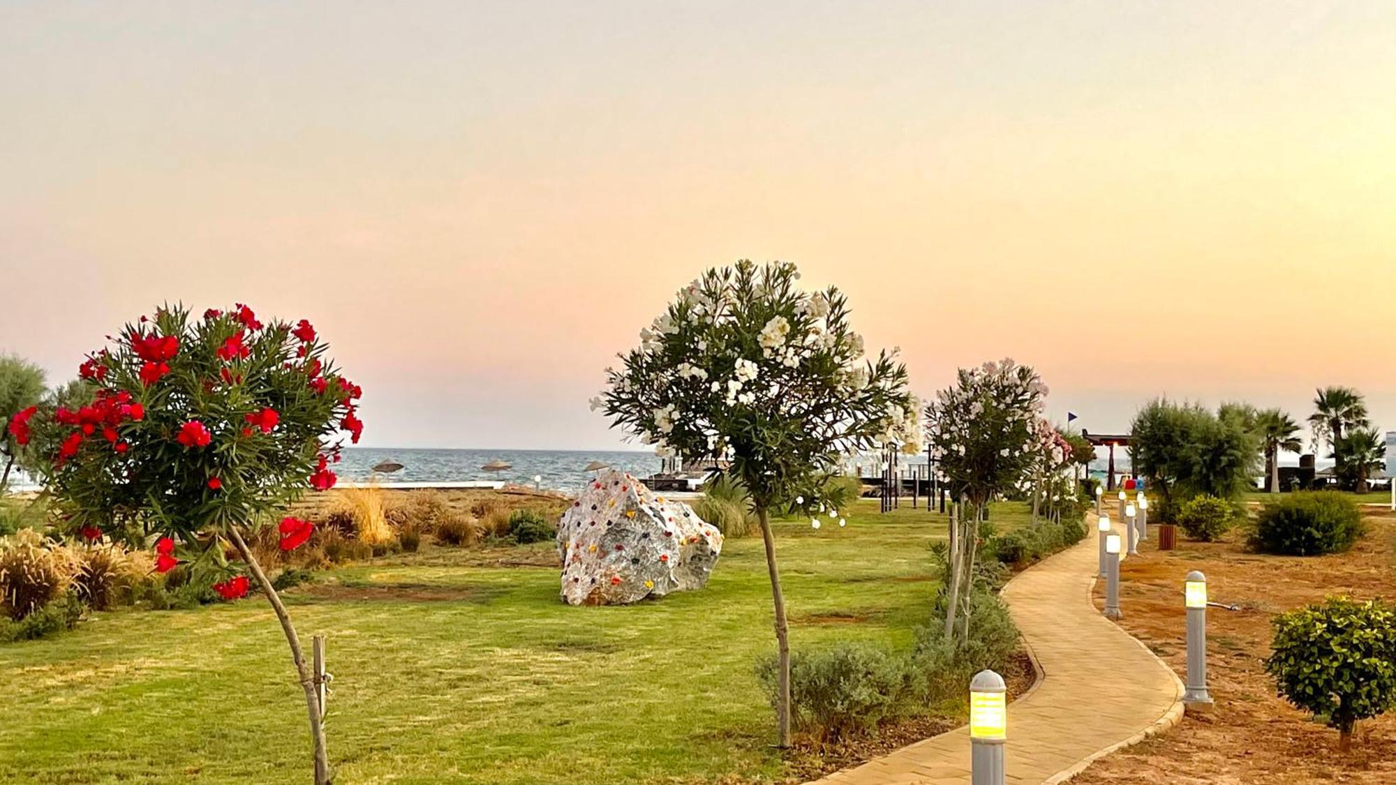 Lightness By The Sea *