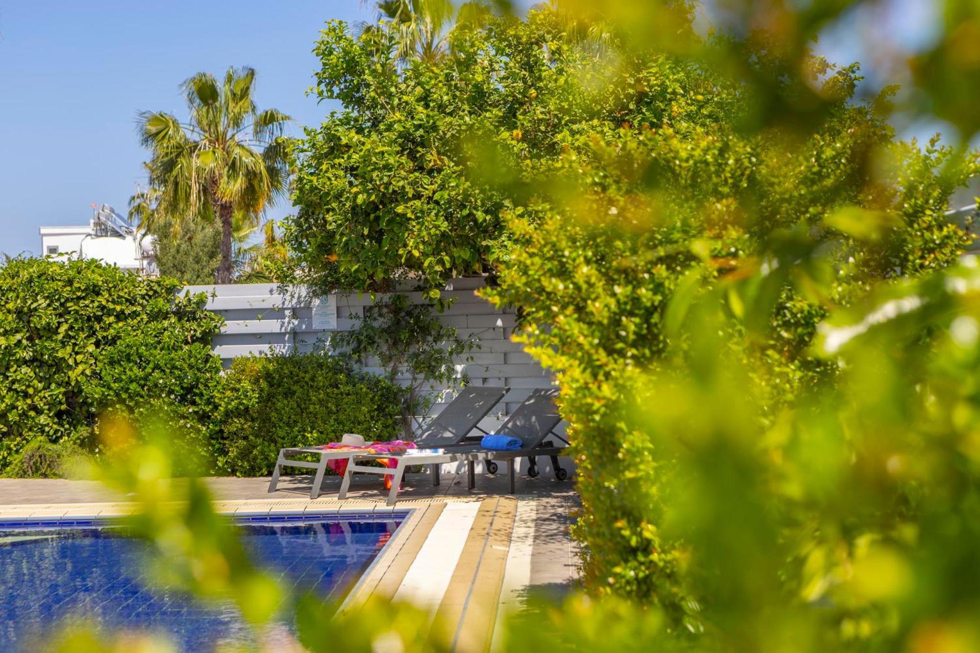Villa Azure Luxury Pool *