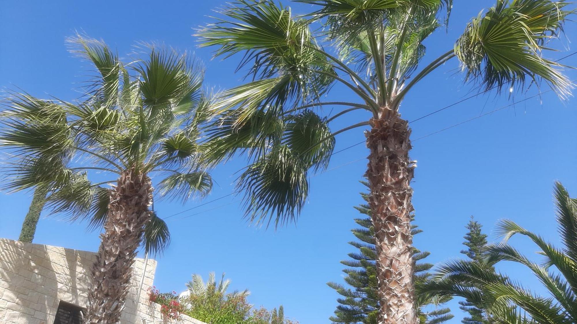 Pousada Holiday: Seafront Retreat With Pool In Paphos