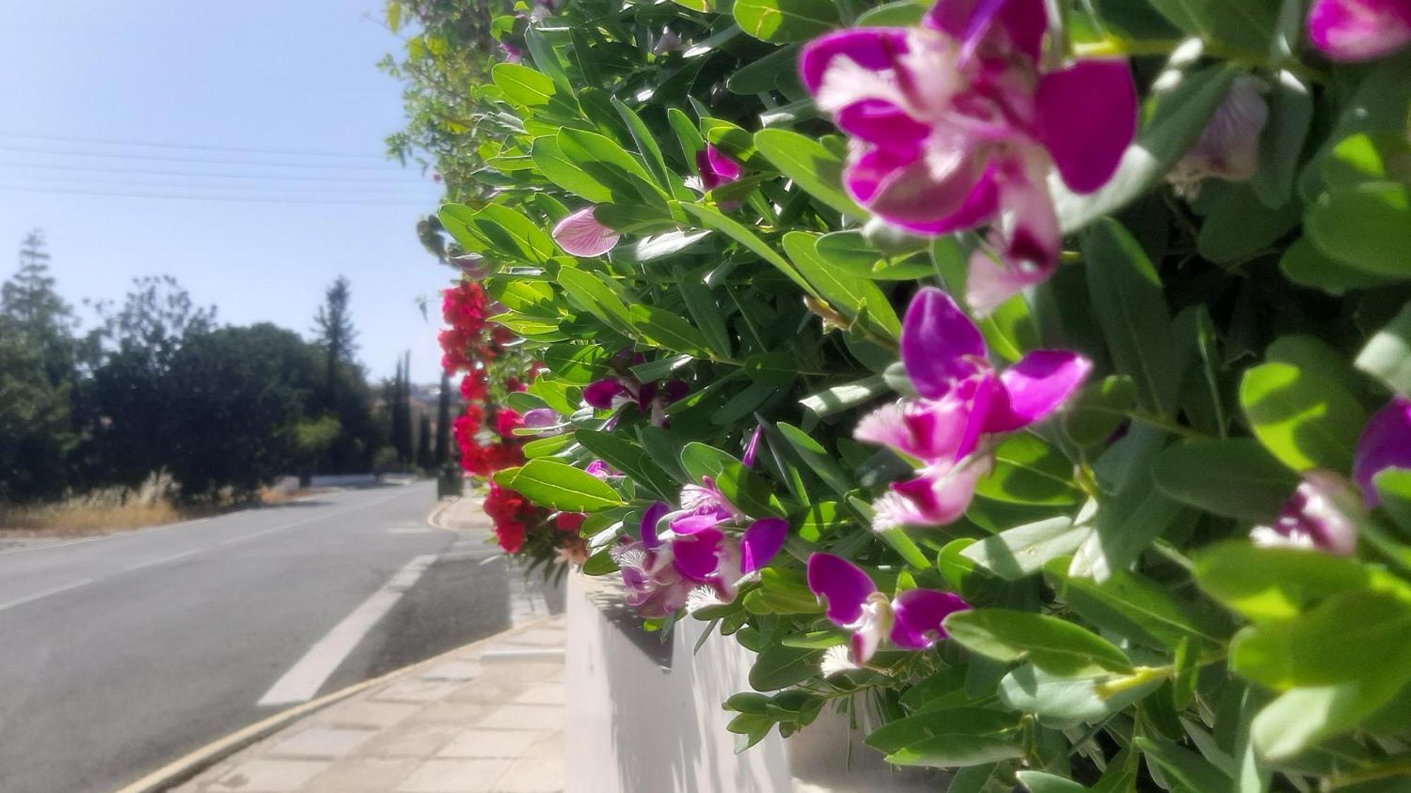 Holiday: Seafront Retreat With Pool In Paphos Peyia