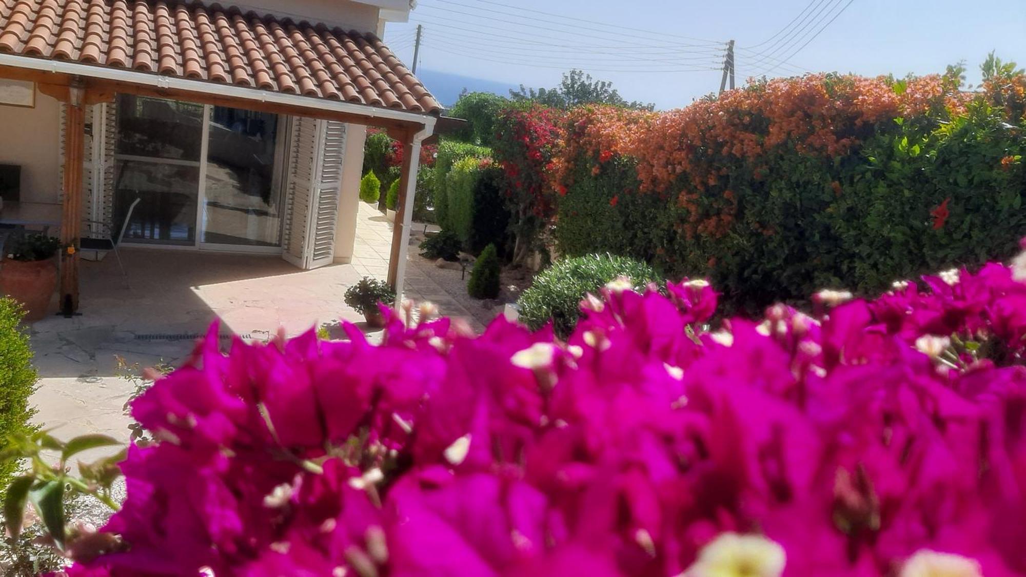 Holiday: Seafront Retreat With Pool In Paphos Peyia