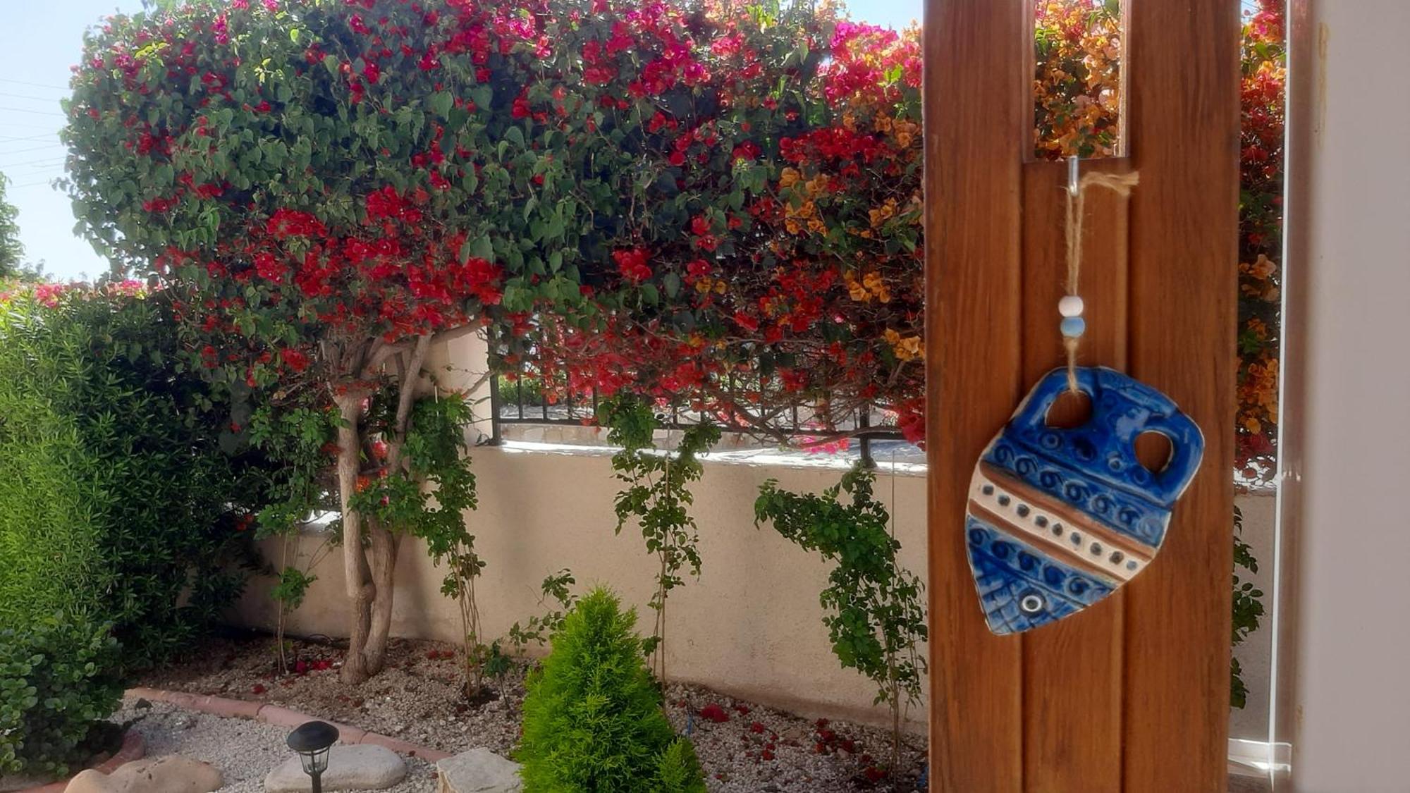 Holiday: Seafront Retreat With Pool In Paphos Villa