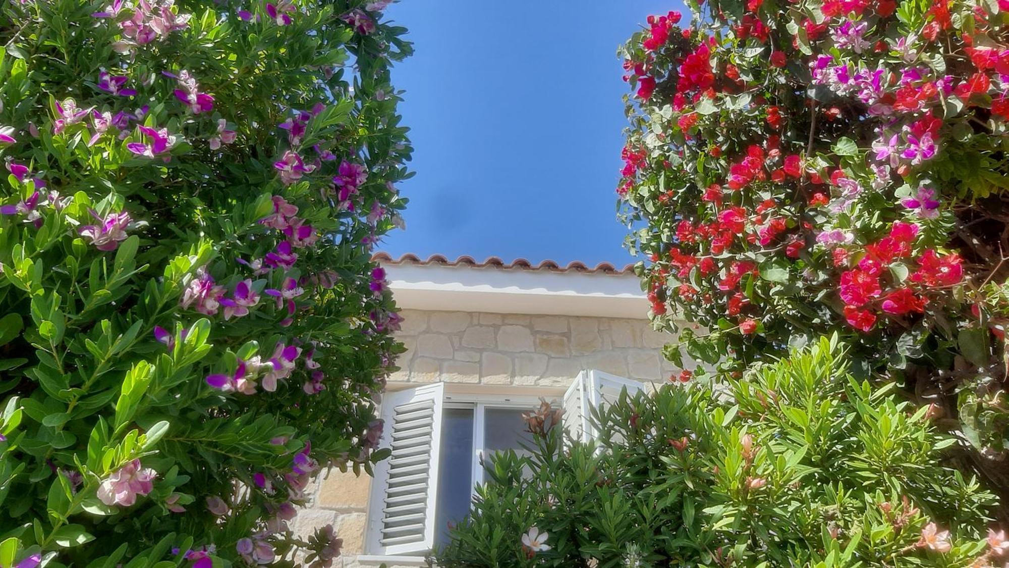 Holiday: Seafront Retreat With Pool In Paphos