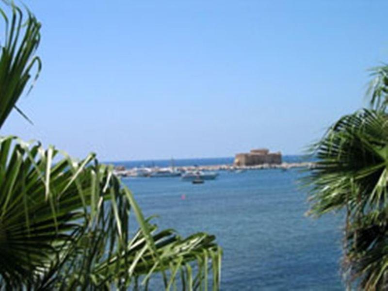 Paphinia Seaview