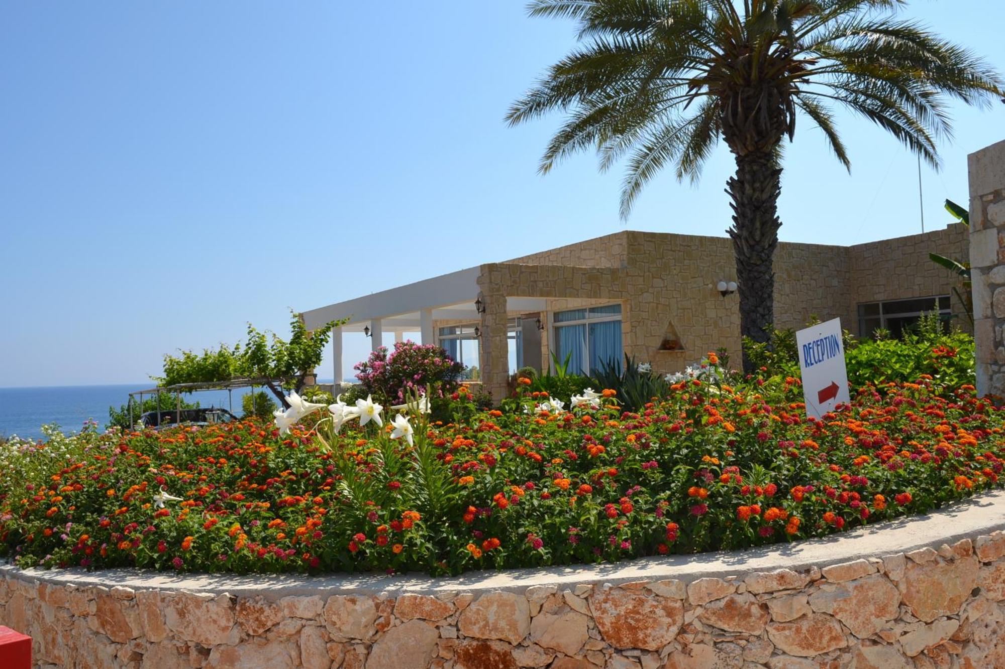 Aphrodite Beach