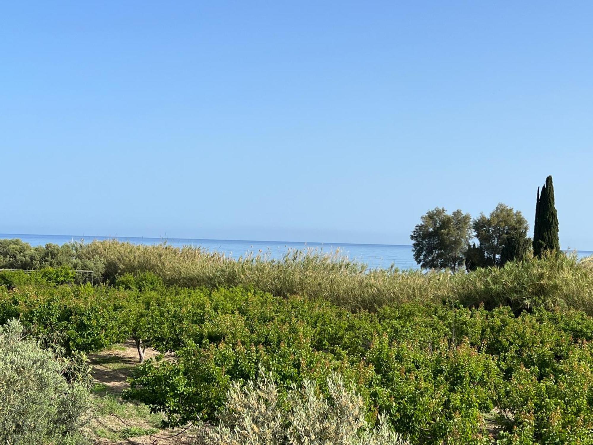Villa Jomavi Eco-villa *