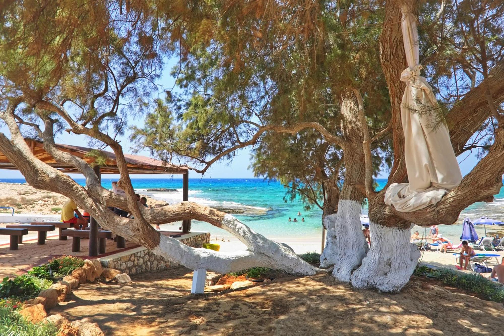 Sea Pearl Beachfront - Breeze *