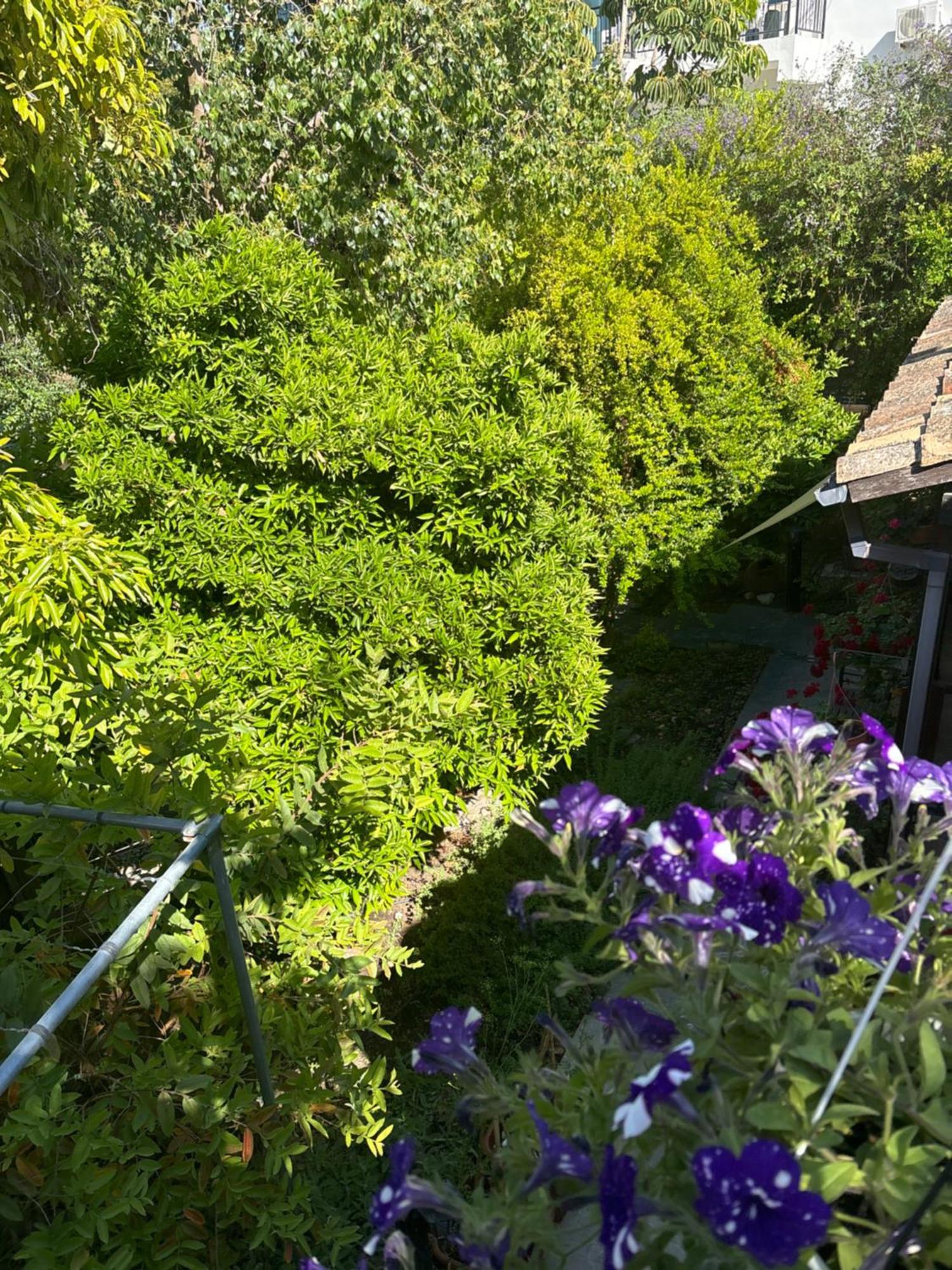 Vasilion Agrotourism Holiday home *