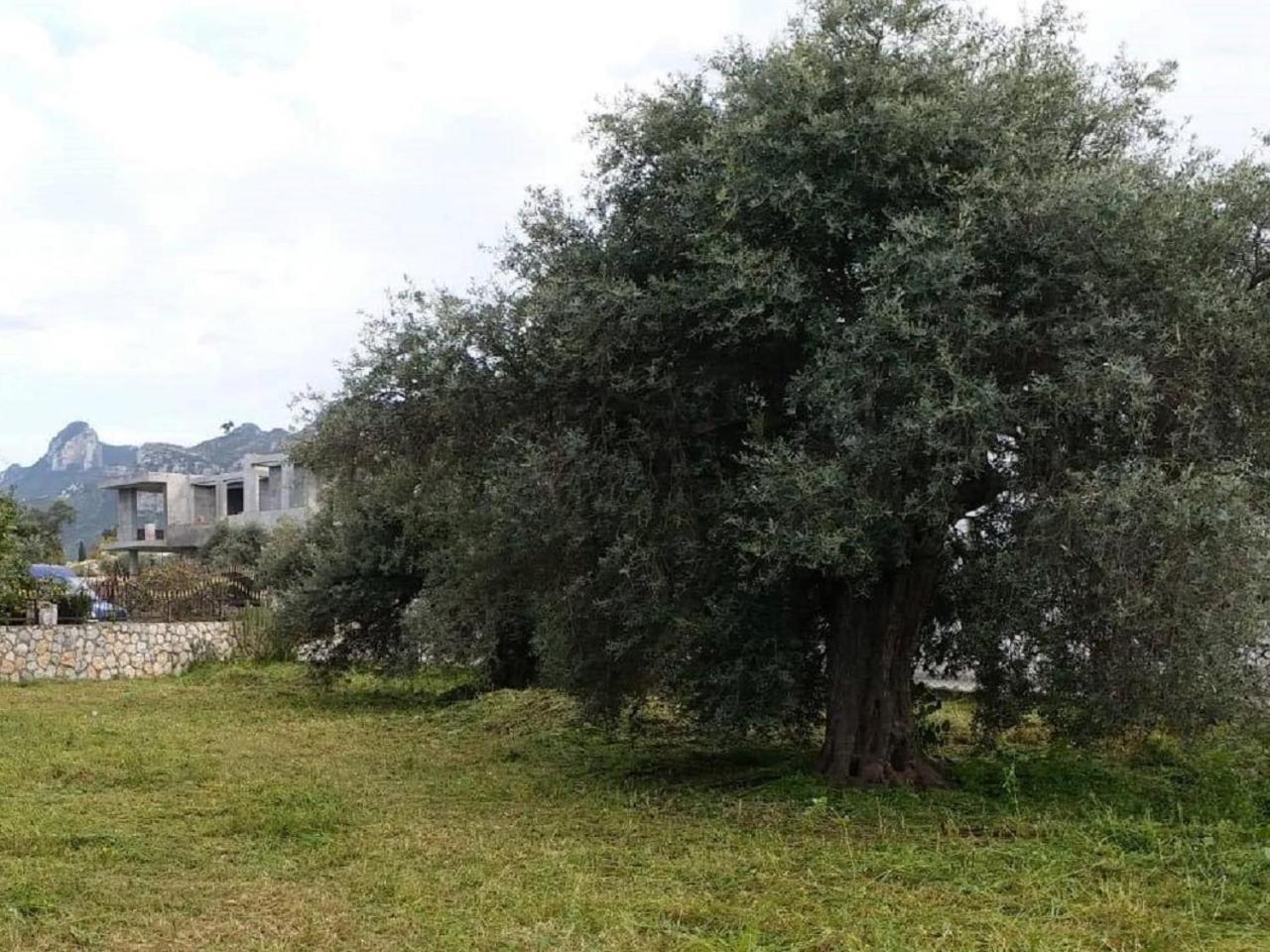 Villa Suluca Homes Girne