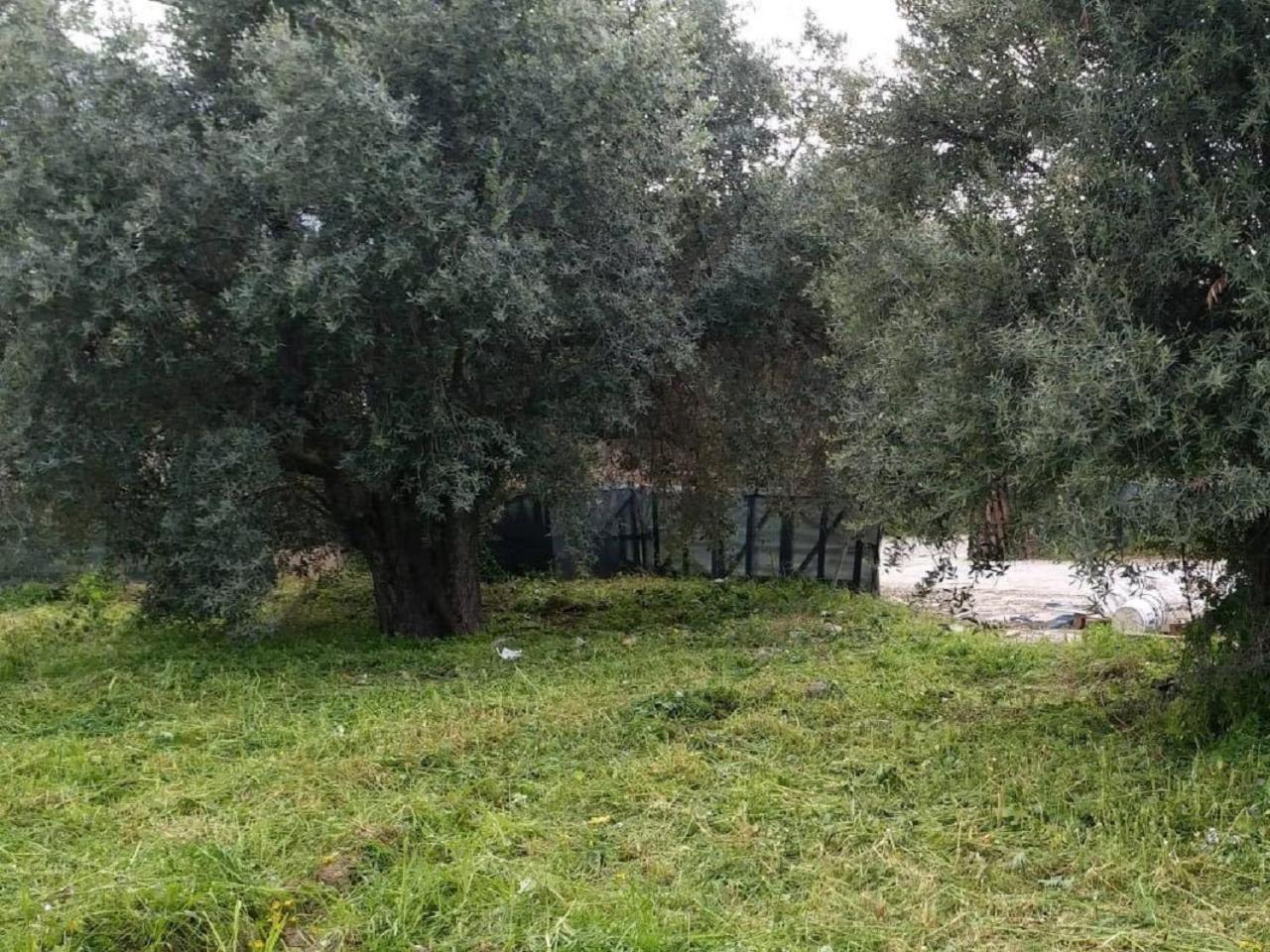 Villa Suluca Homes *