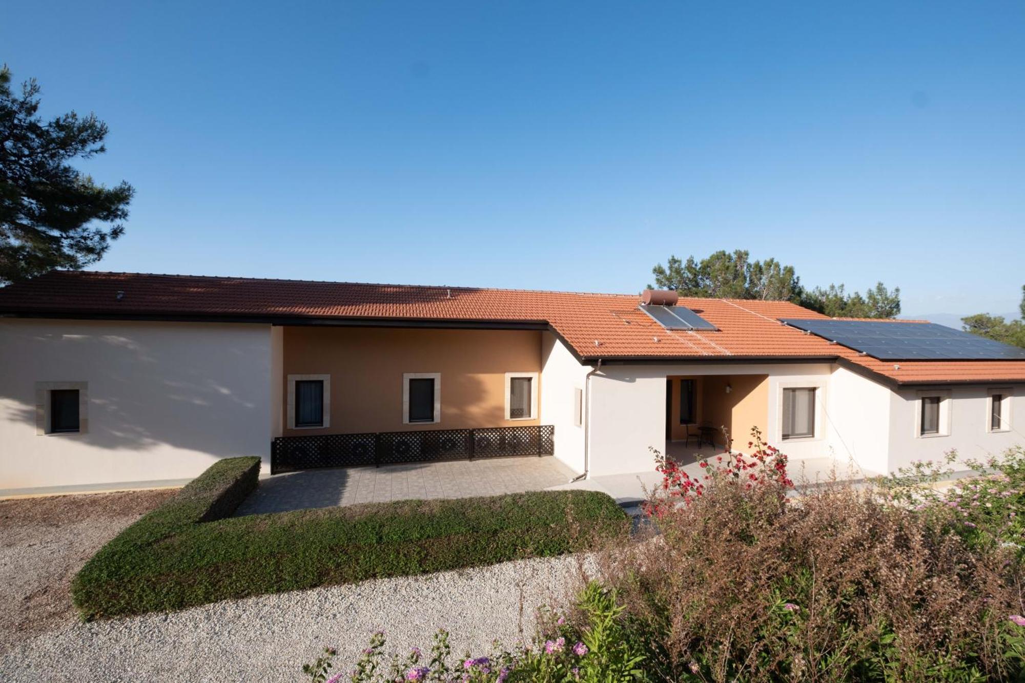 Pine And Olive Seahouse Neo Chorio