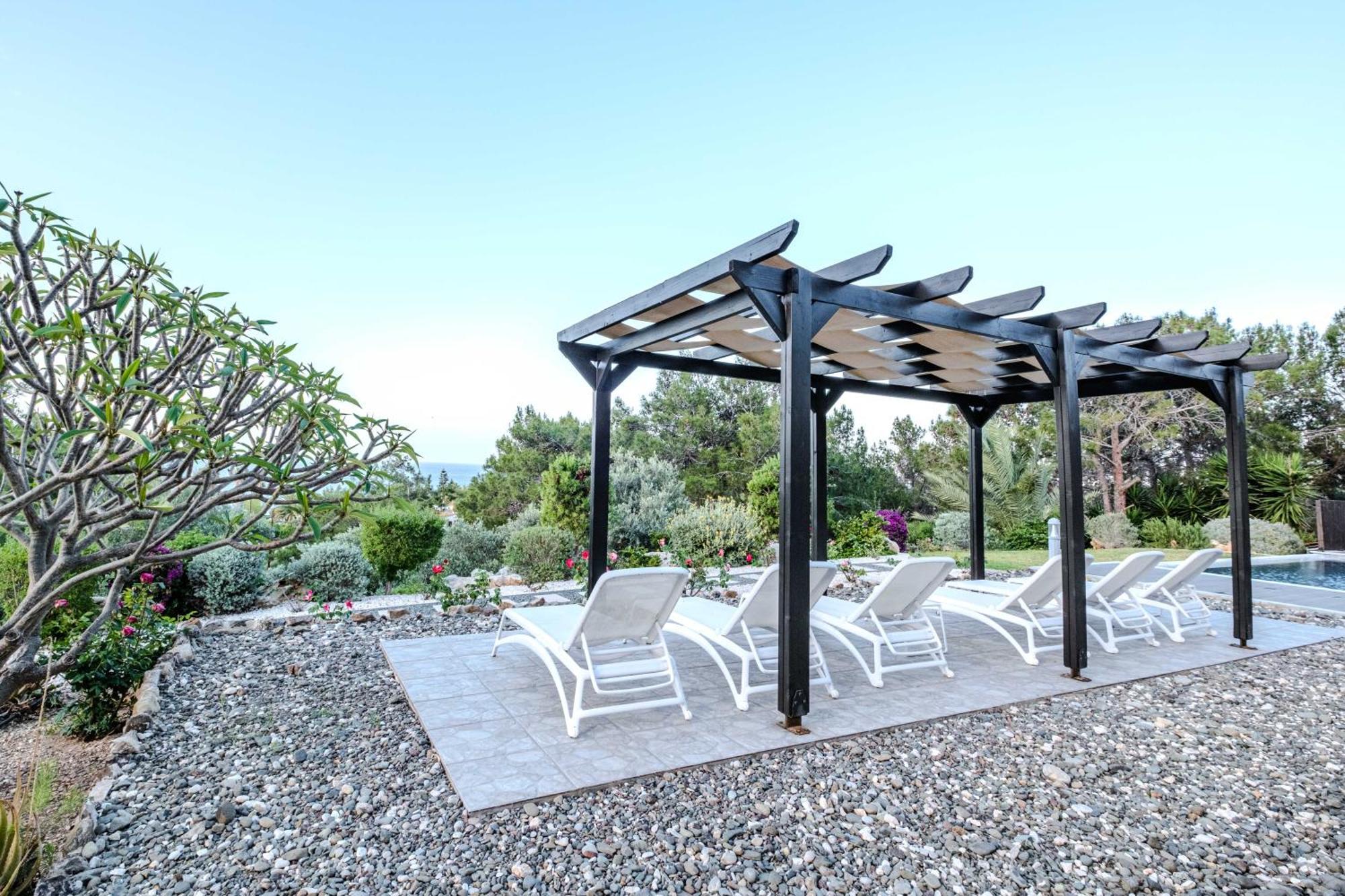Pine And Olive Seahouse Neo Chorio