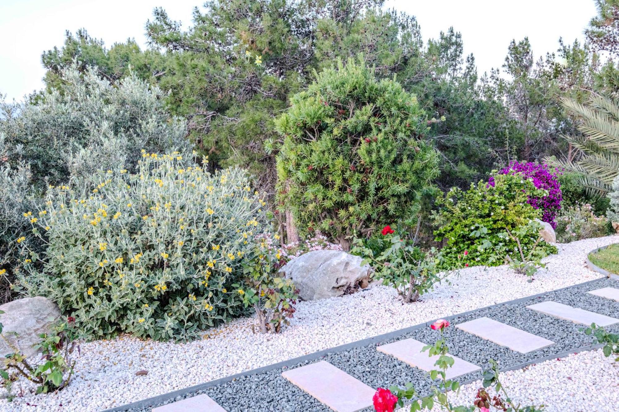 Pine And Olive Seahouse * Neo Chorio