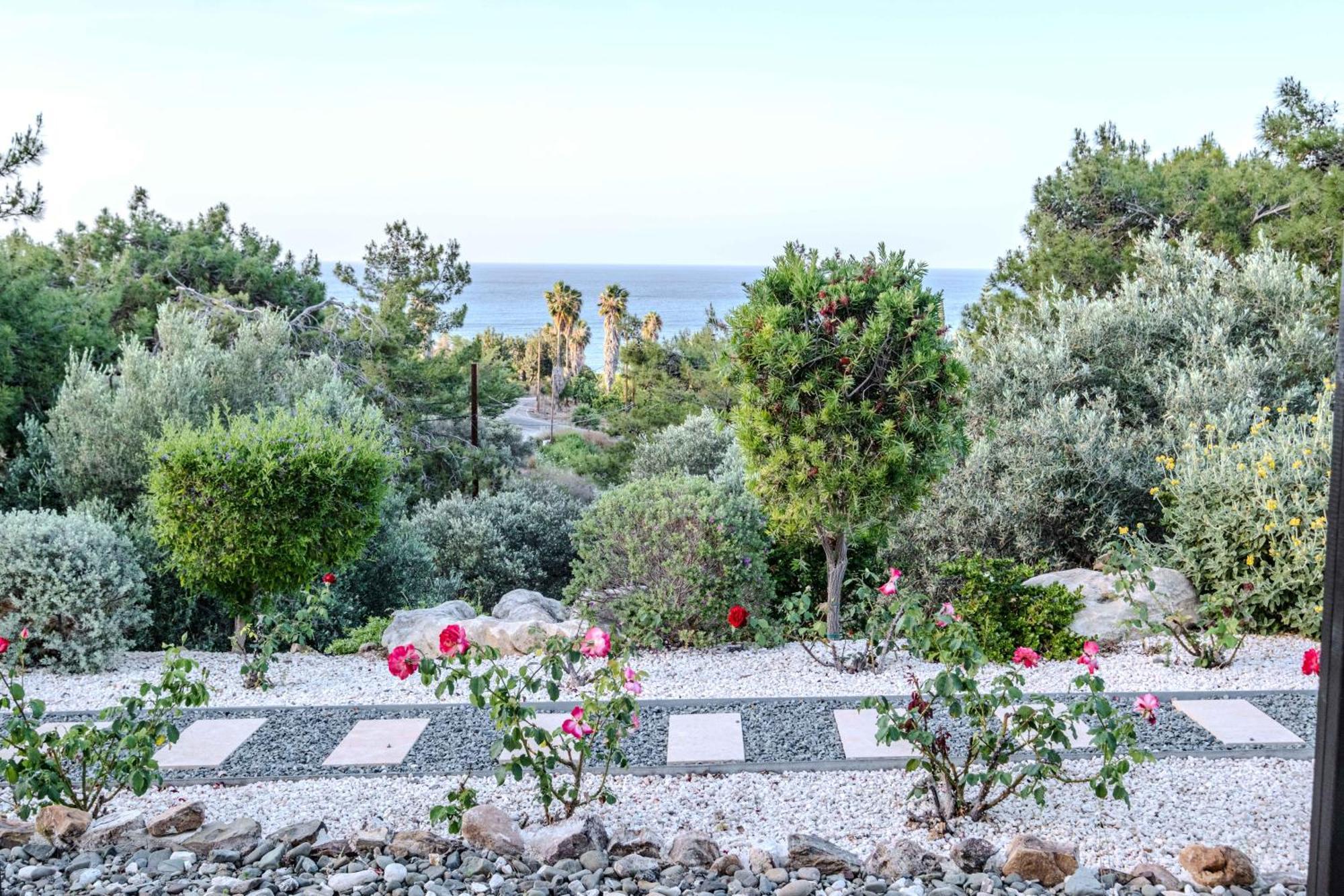 Villa Pine And Olive Seahouse