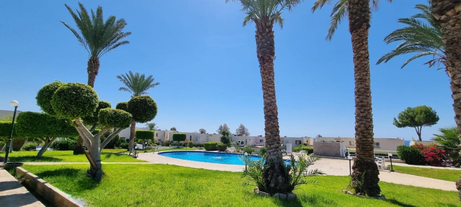Modern Seaview Townhouse In Coral Bay (adults Only) Apartment Peyia