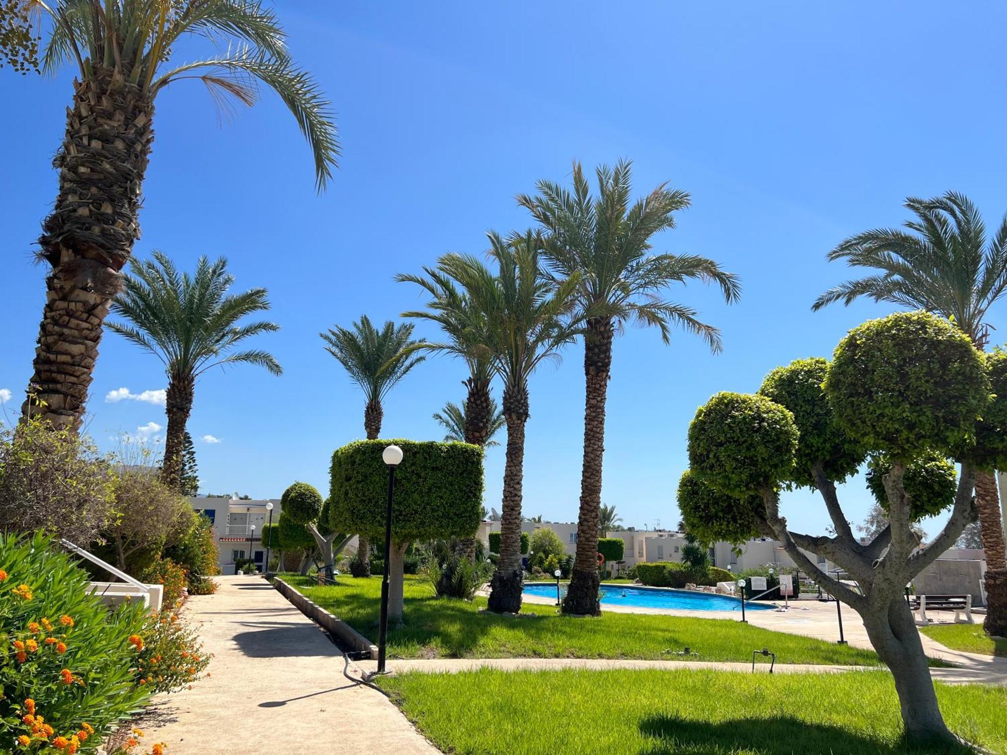 Apartment Modern Seaview Townhouse In Coral Bay (adults Only) Peyia