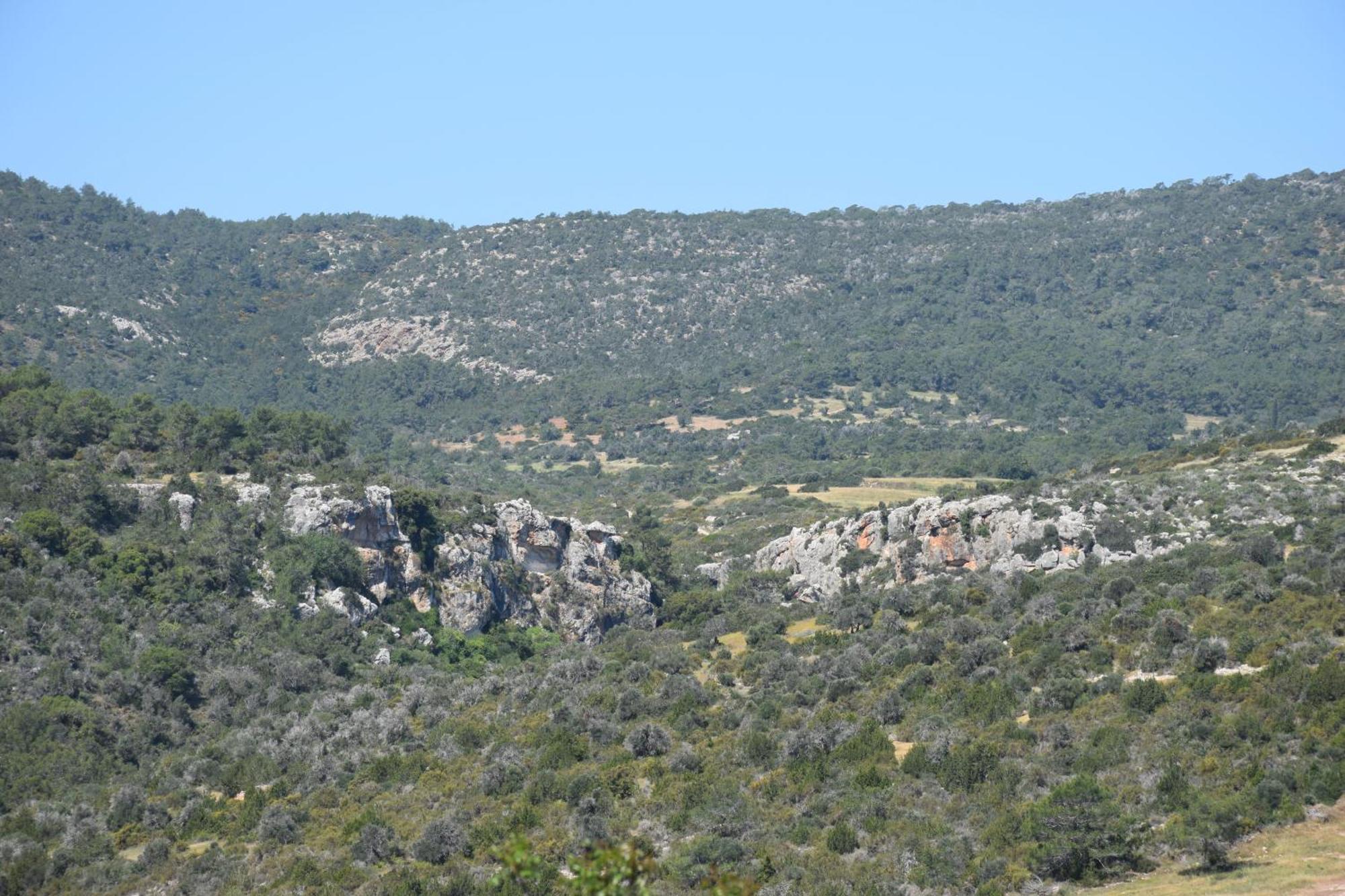 Akamas Throne *