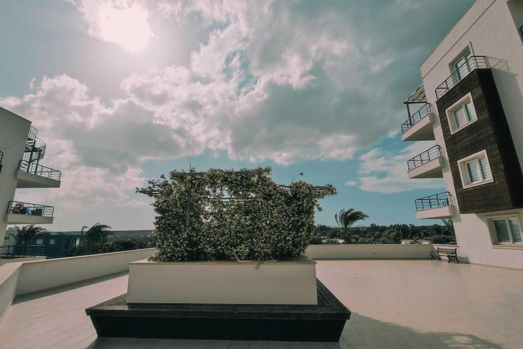 Thalassa Sea View Apartment