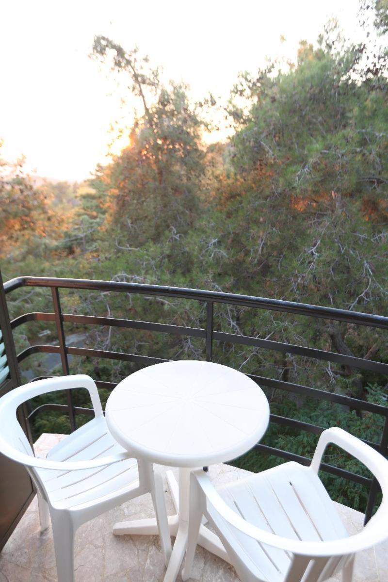 Hotel Forest Park Platres