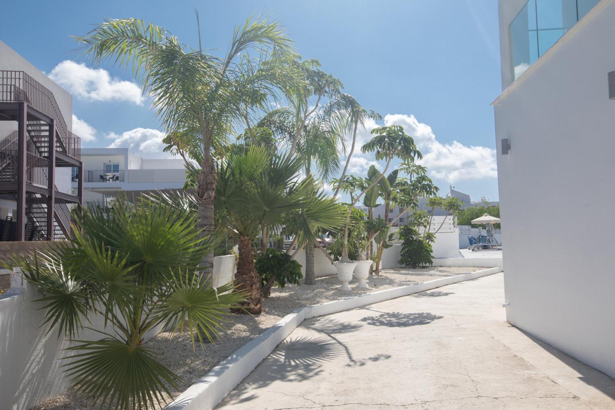 Pavlinia Hotel&apartments Agia Napa