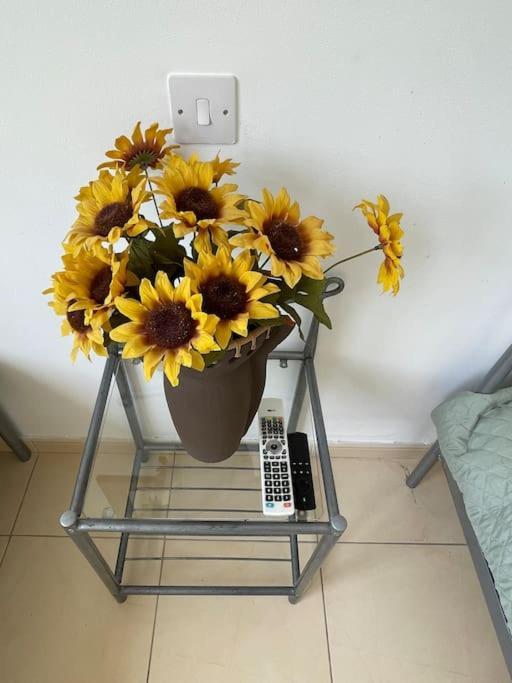 Apartment 2 Bed Mountains And Costal Views With Pool Paphos