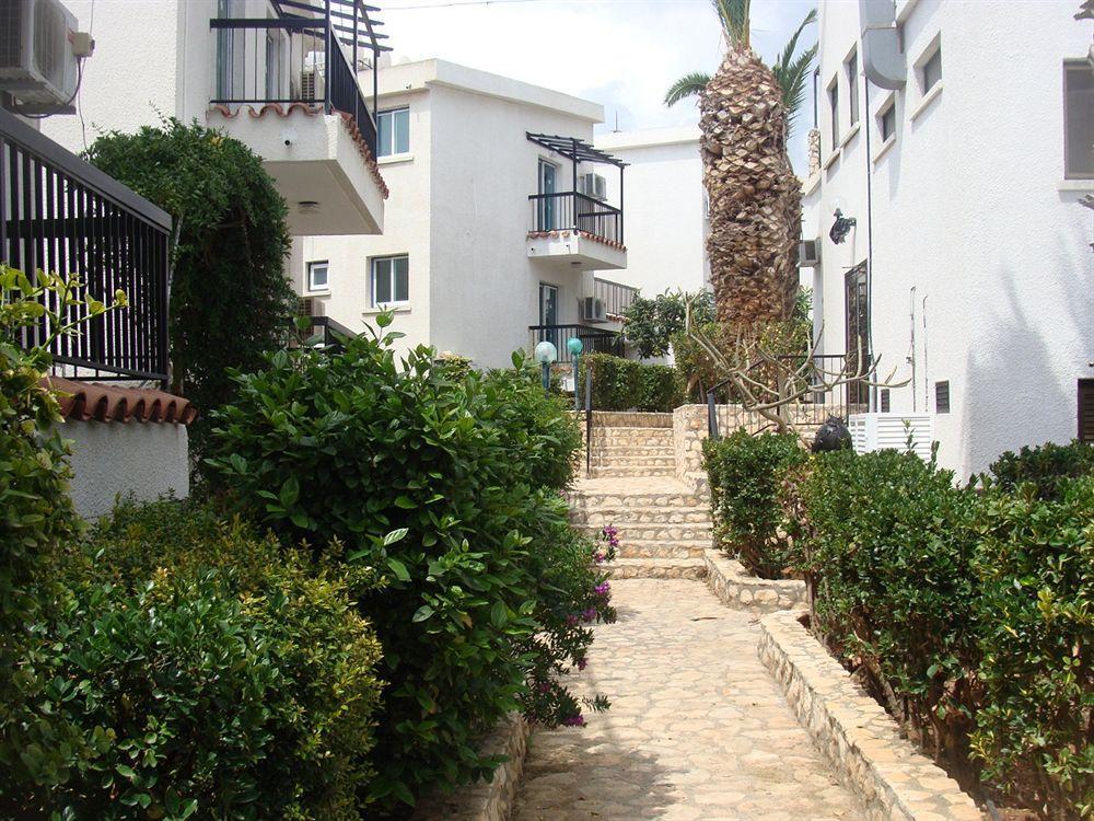 Aphelandra 2* Ayia Napa