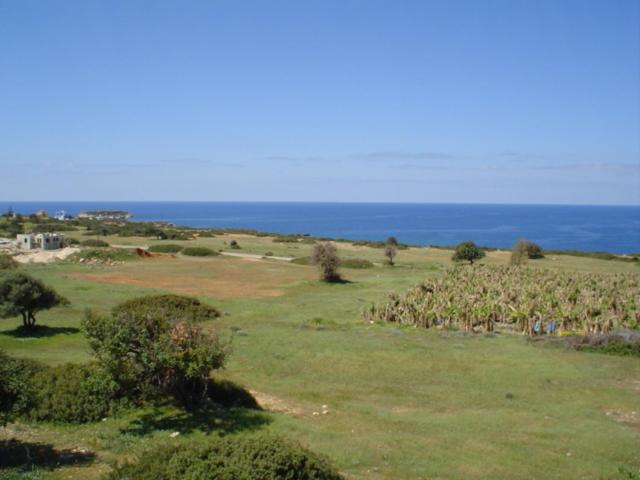 Villa Cynthia Peyia